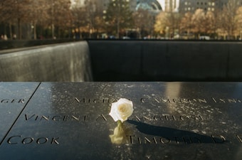 A single white rose rests on a dark memorial plaque with engraved names. The background includes blurred trees and cityscape under a clear sky.