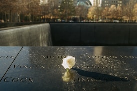 A single white rose rests on a dark memorial plaque with engraved names. The background includes blurred trees and cityscape under a clear sky.