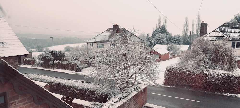 a snow covered street with houses and trees