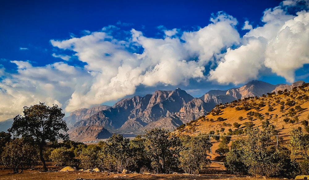 a mountain range with trees and clouds in the sky