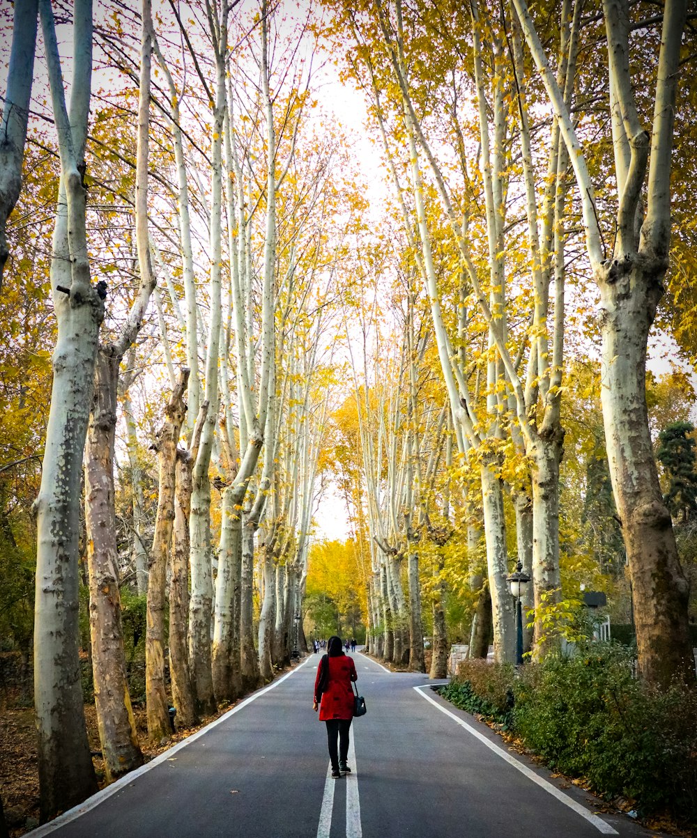 a person in a red jacket is walking down the road