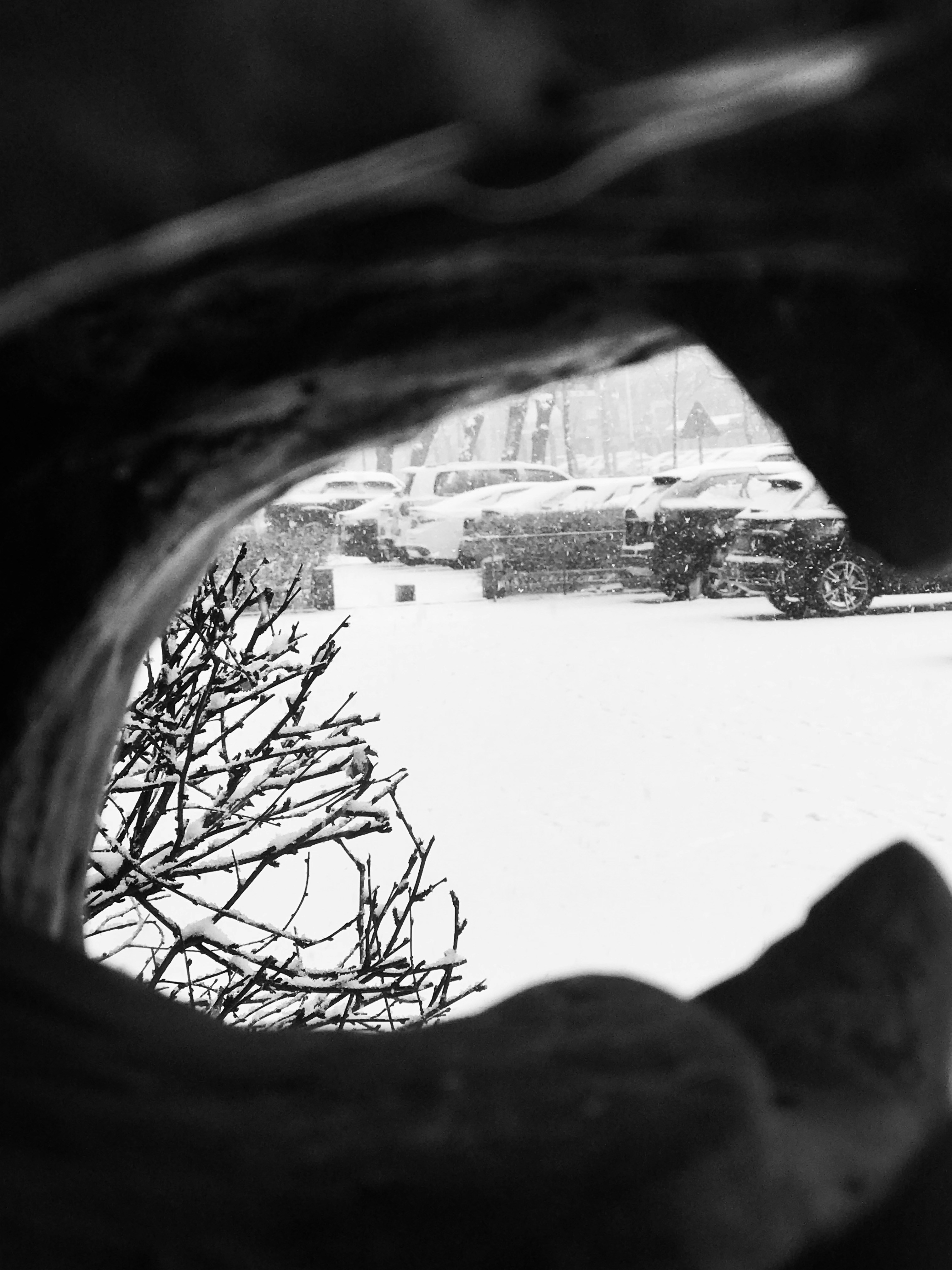 Photo by between_worlds