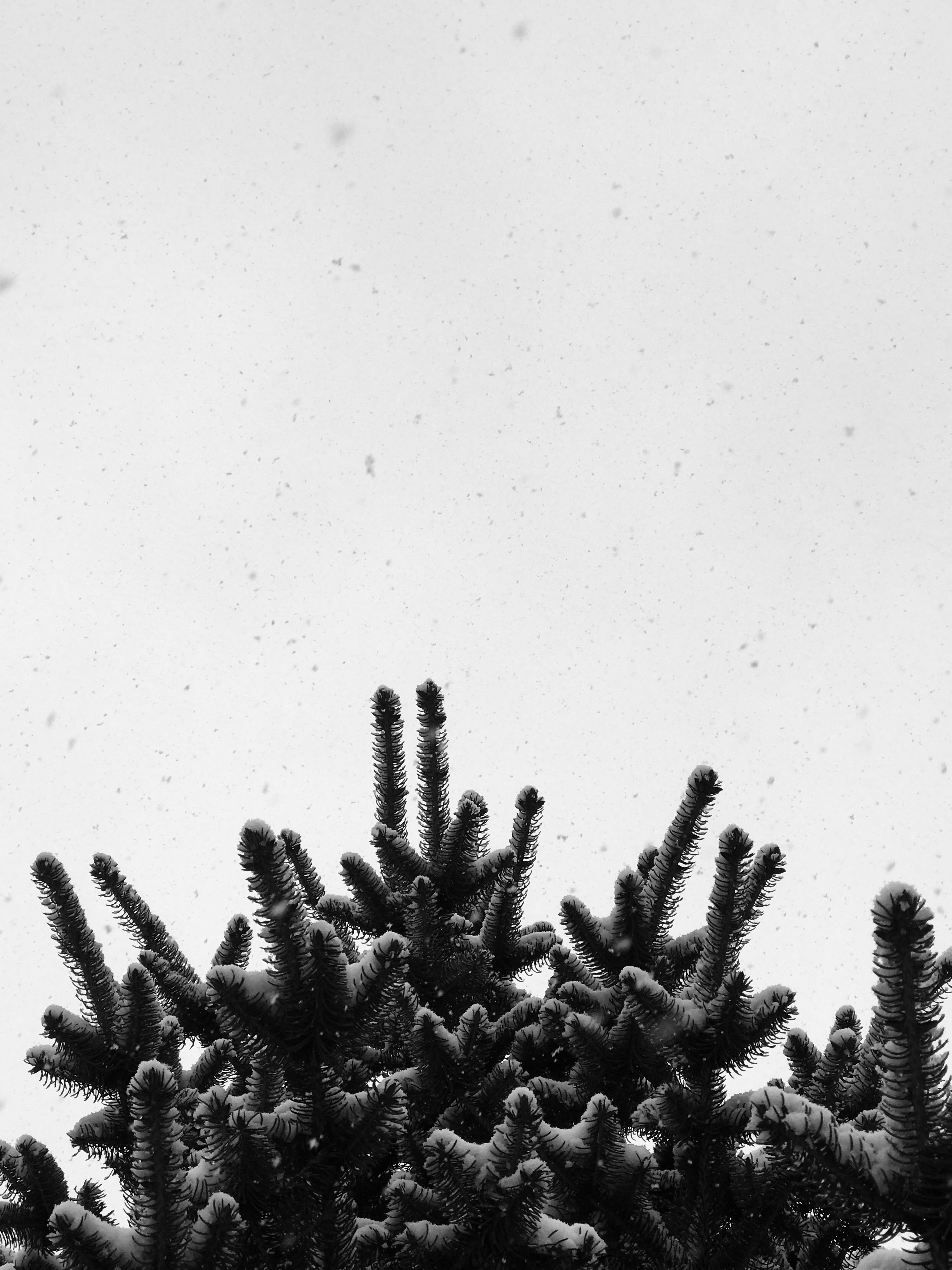 Photo by between_worlds