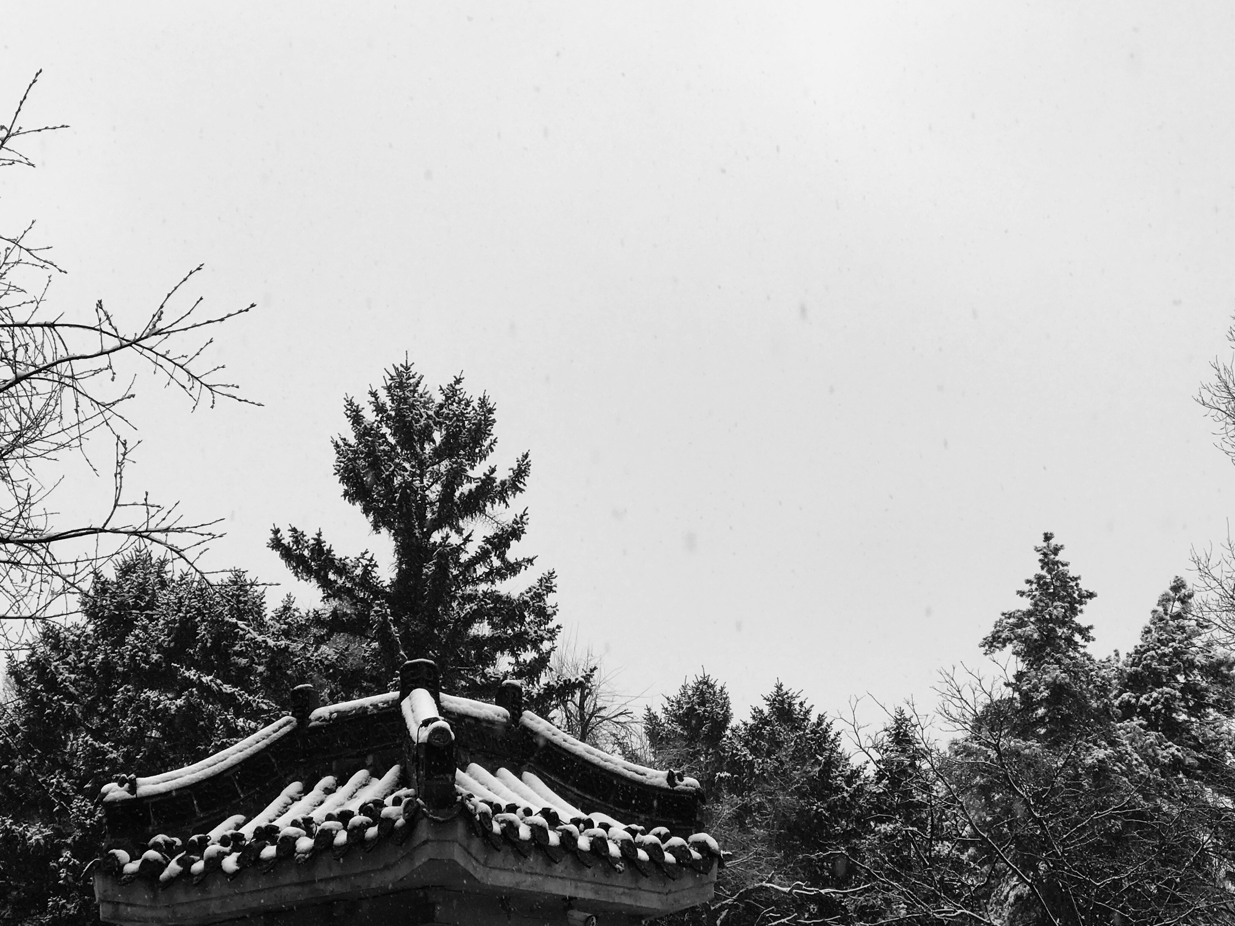 Photo by between_worlds