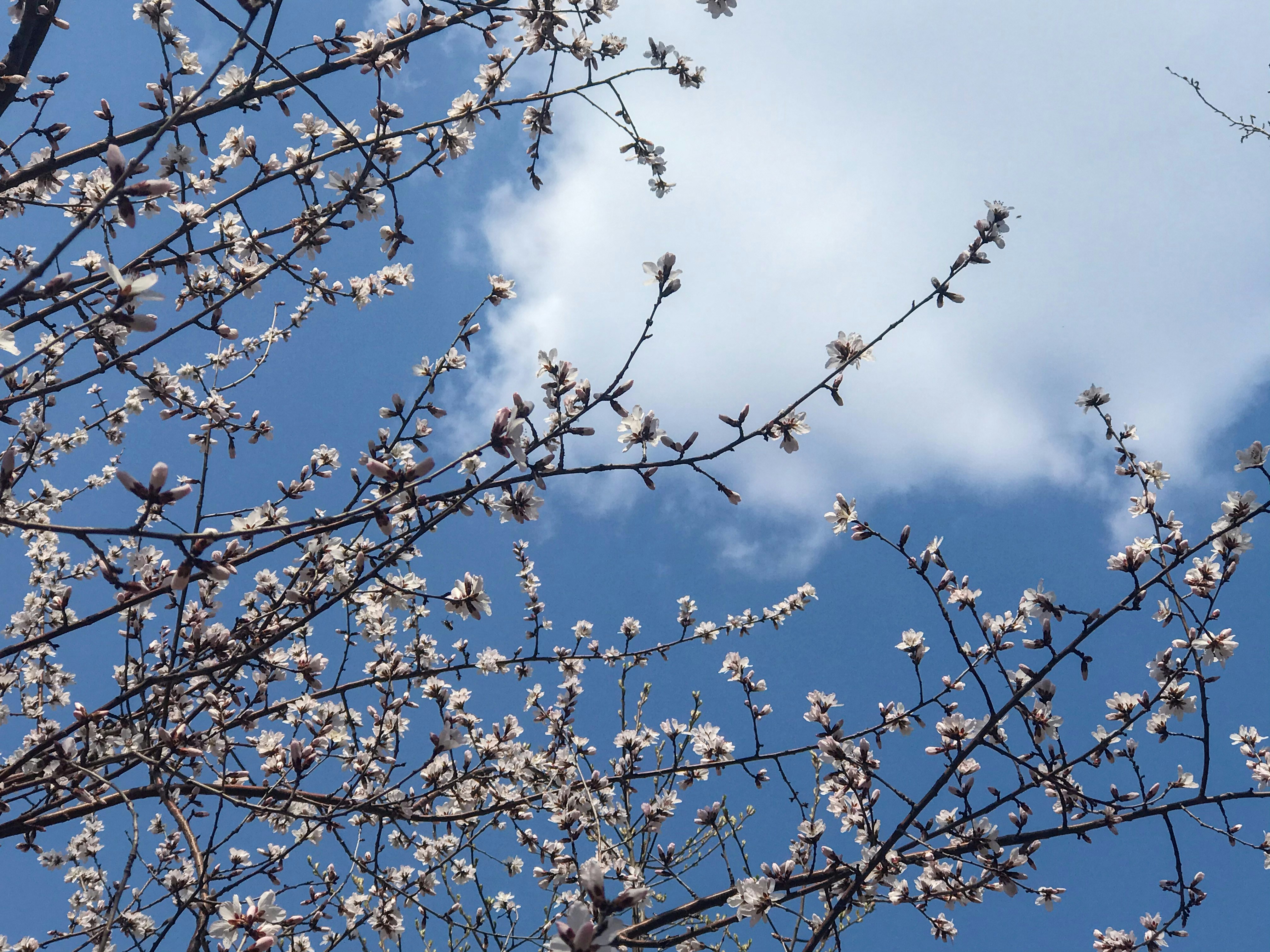 Photo by between_worlds