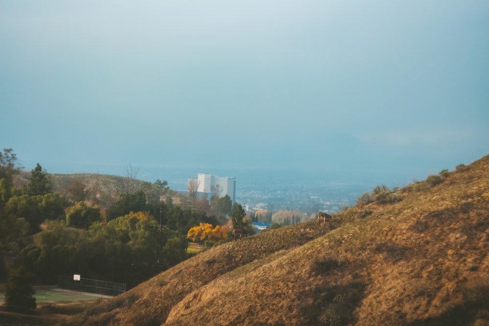 a view of a city from the top of a hill