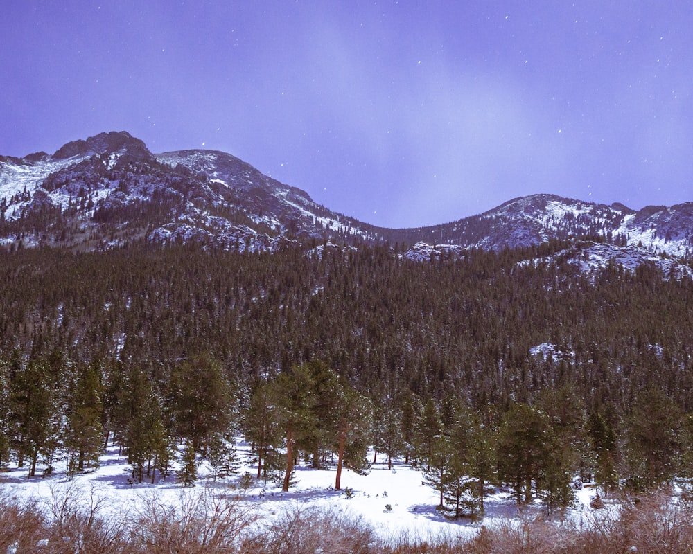 a snow covered mountain range with trees in the foreground