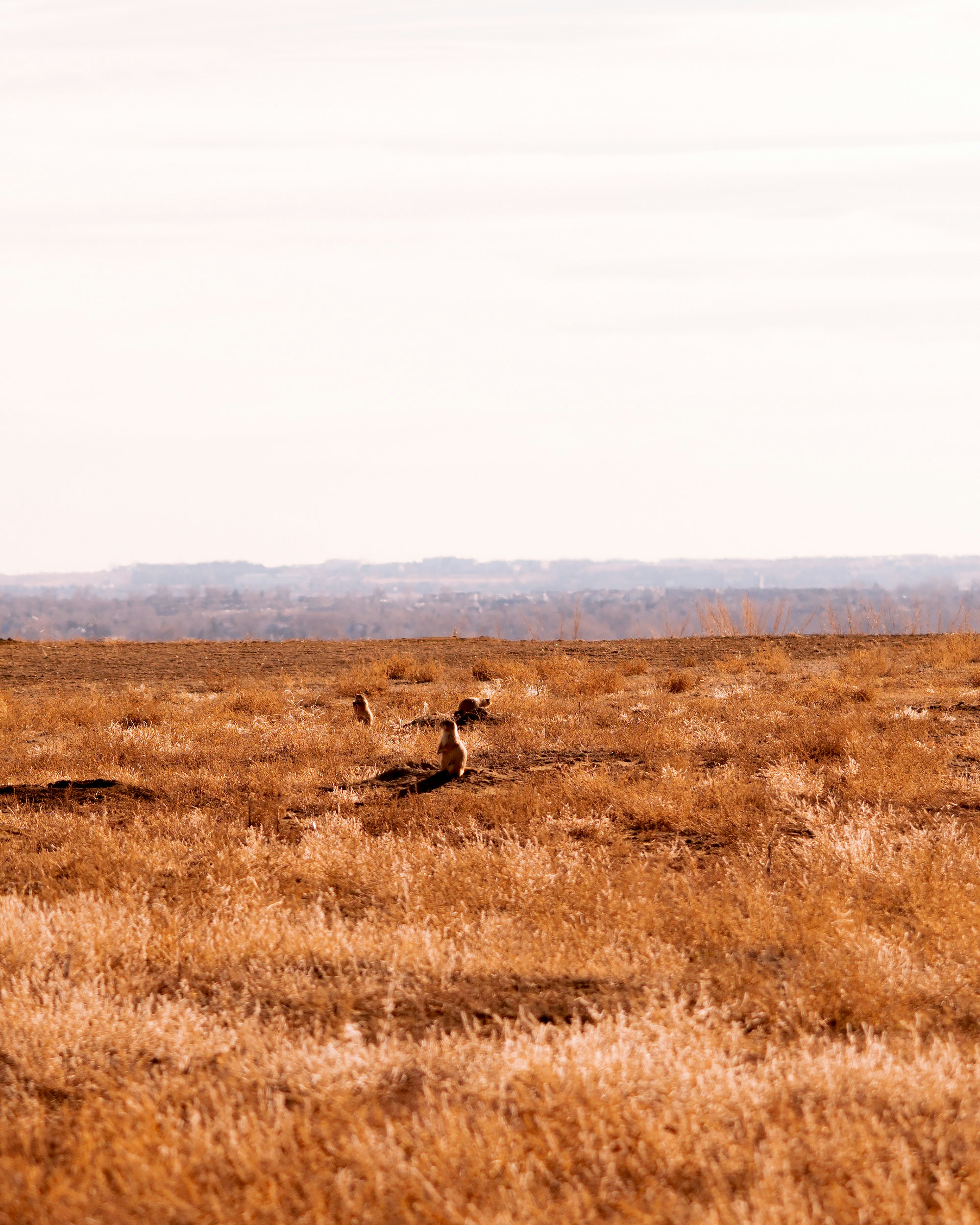 Photo by andyasmarketing