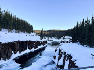 a river running through a snow covered forest