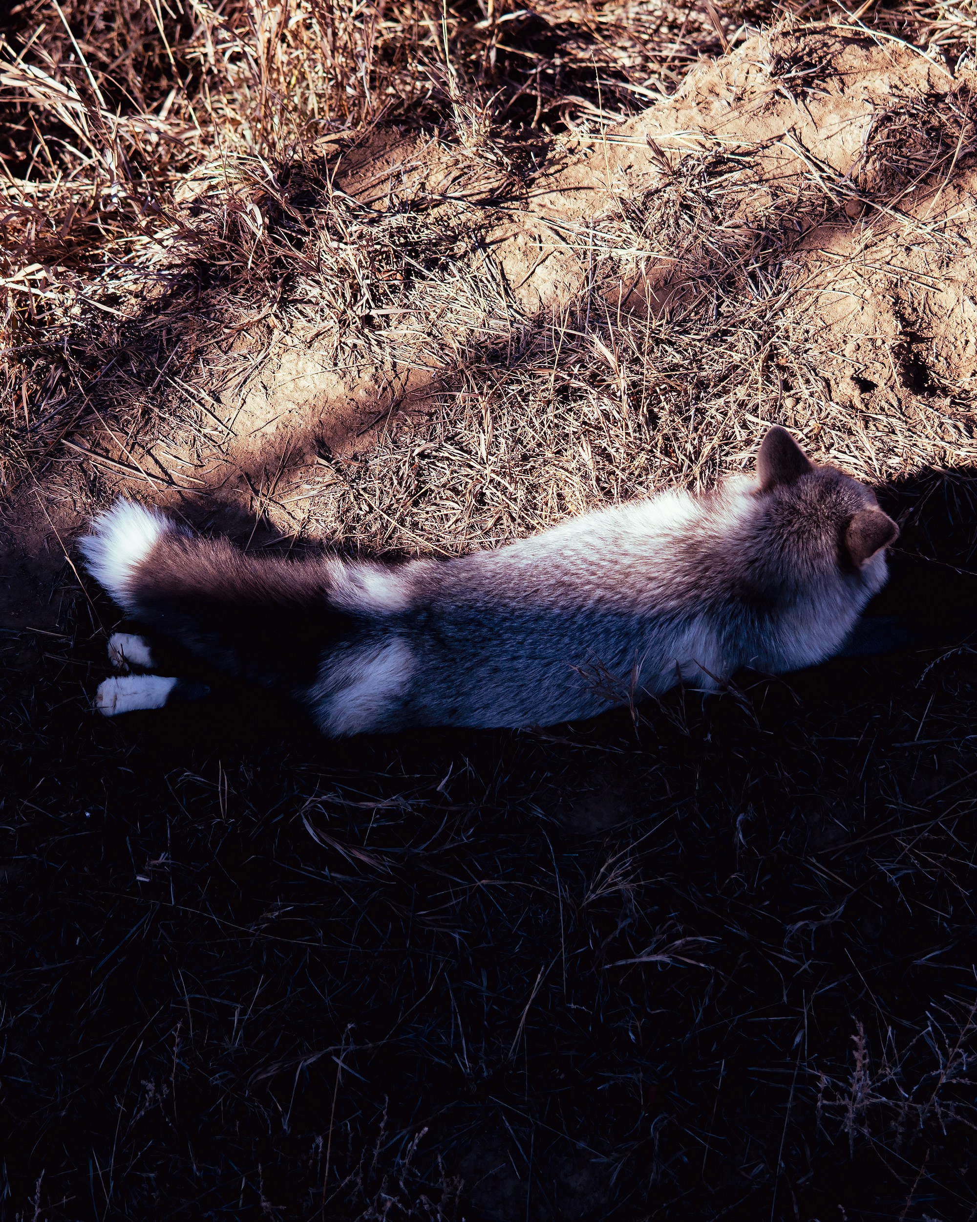 Photo by andyasmarketing