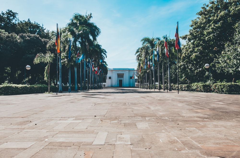 a building with a lot of flags in front of it