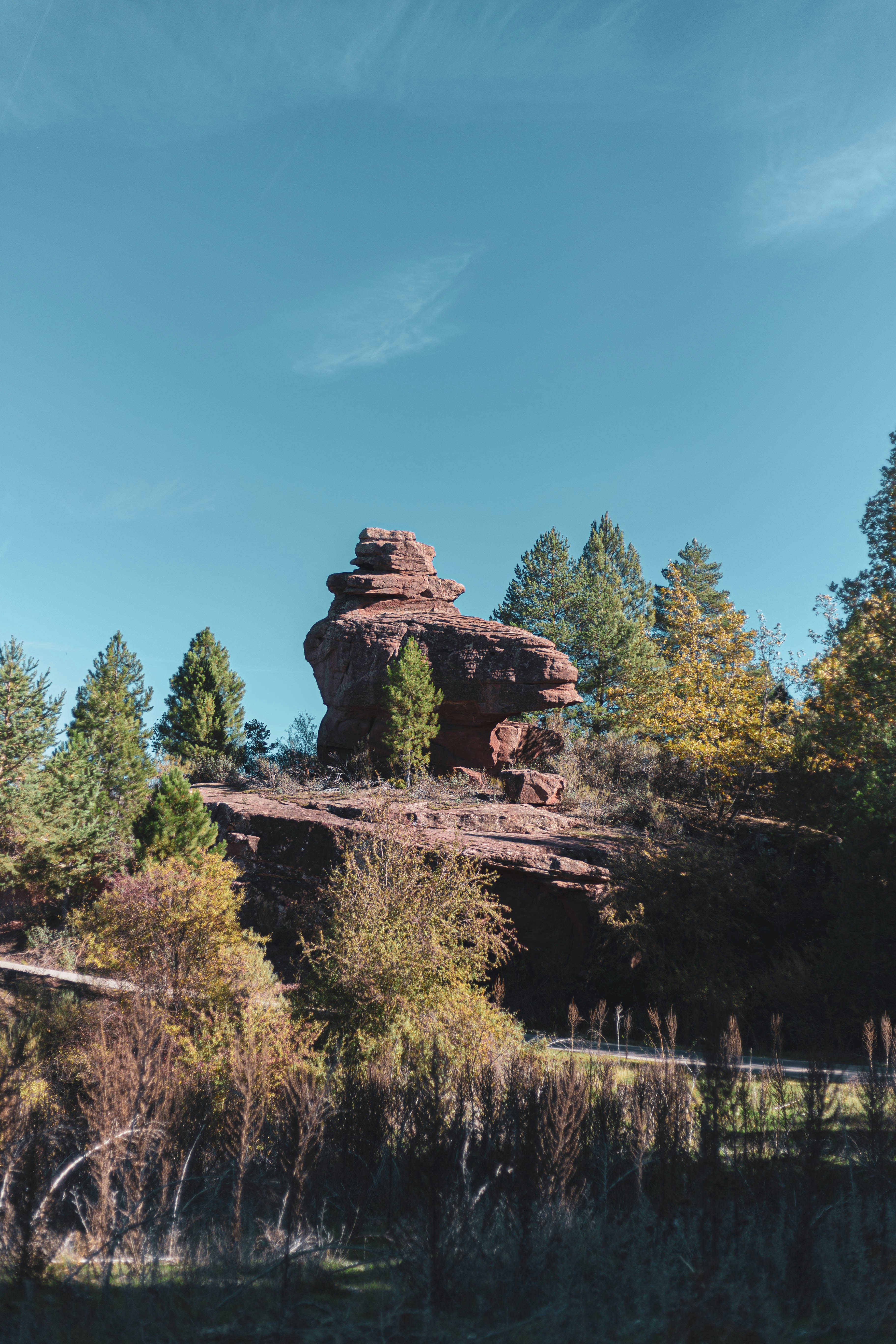 A large rock formation in the middle of a forest photo – Free Plant ...