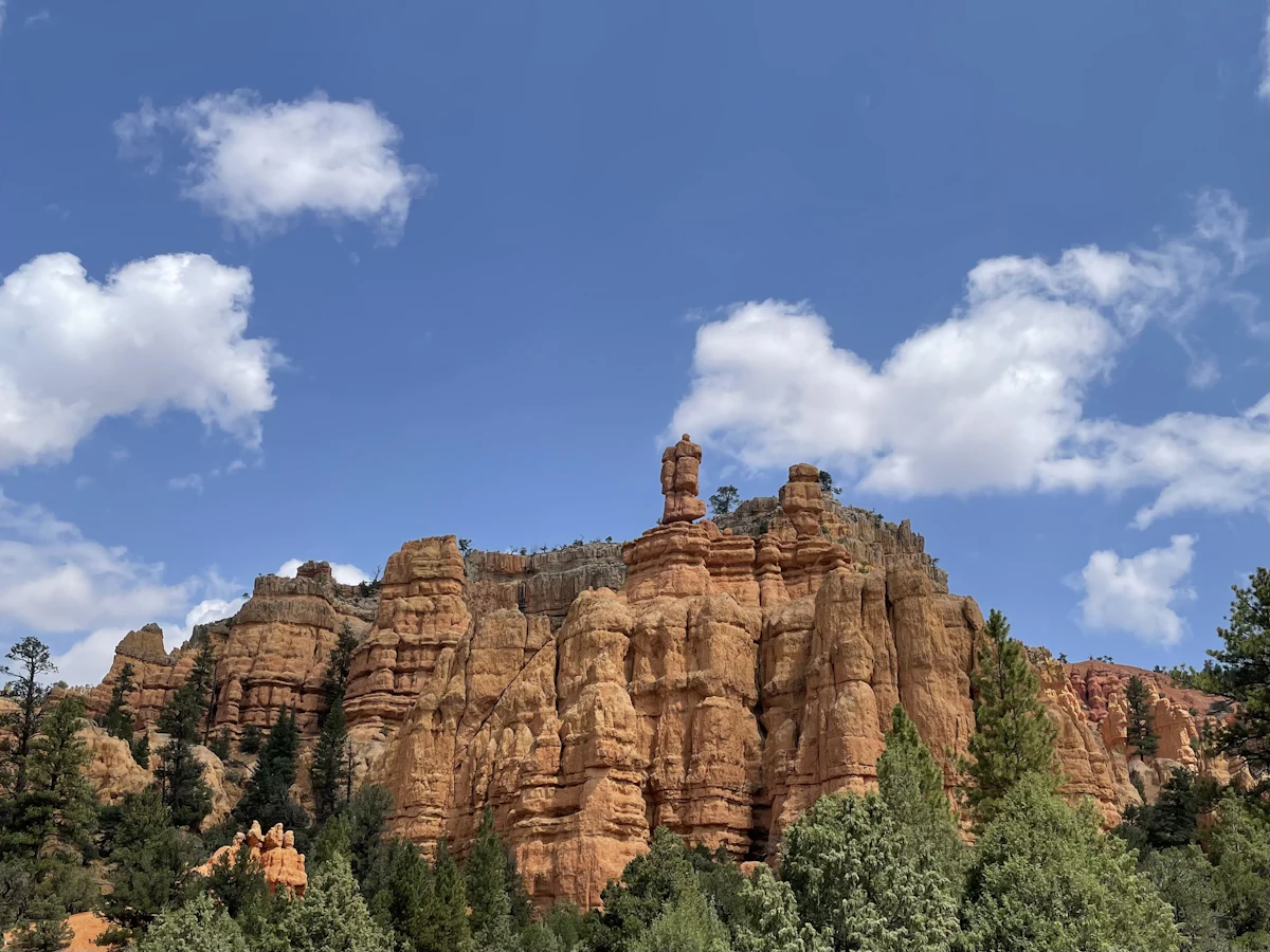 Orange hoodoo cliffs rising above pines near Hatch, Utah, under a blue sky