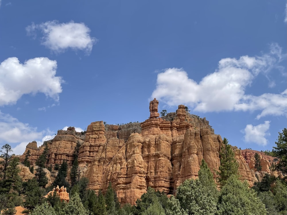 a large rock formation with trees around it