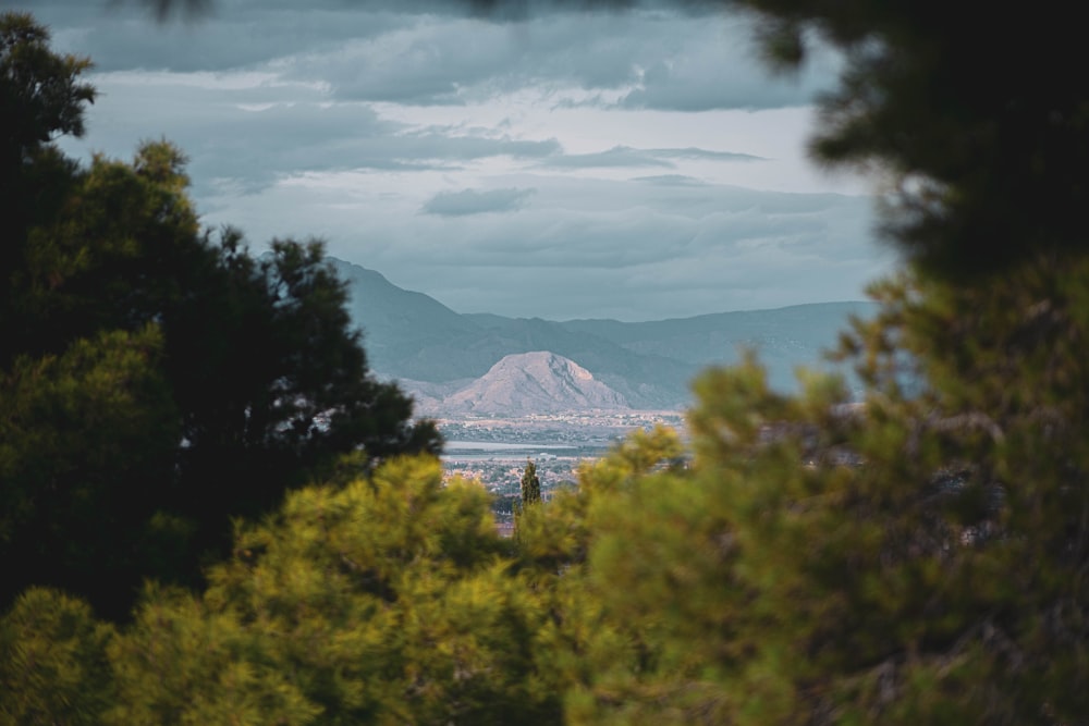 a view of a mountain and a body of water through some trees
