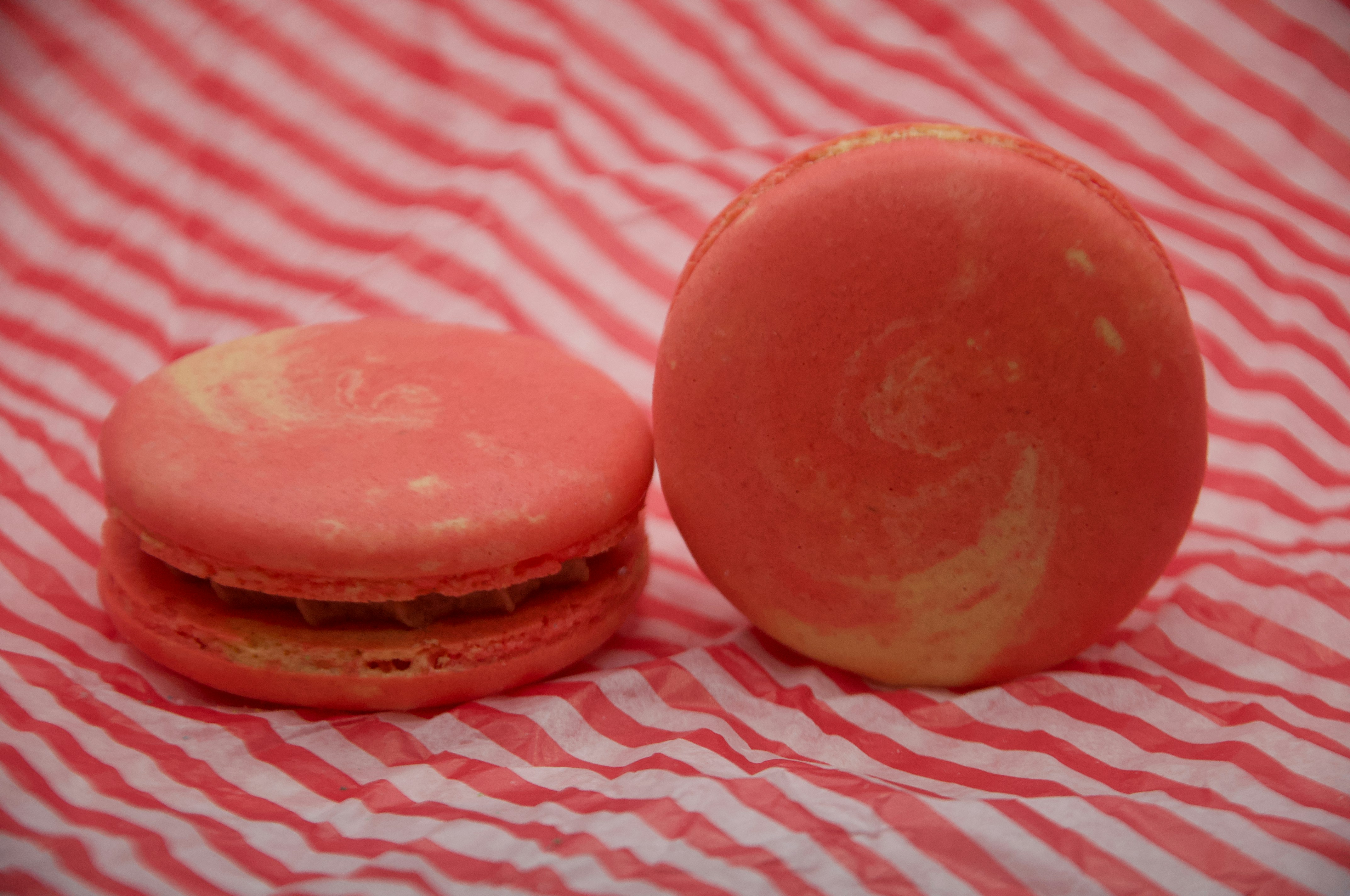 Photo by cameramandan83