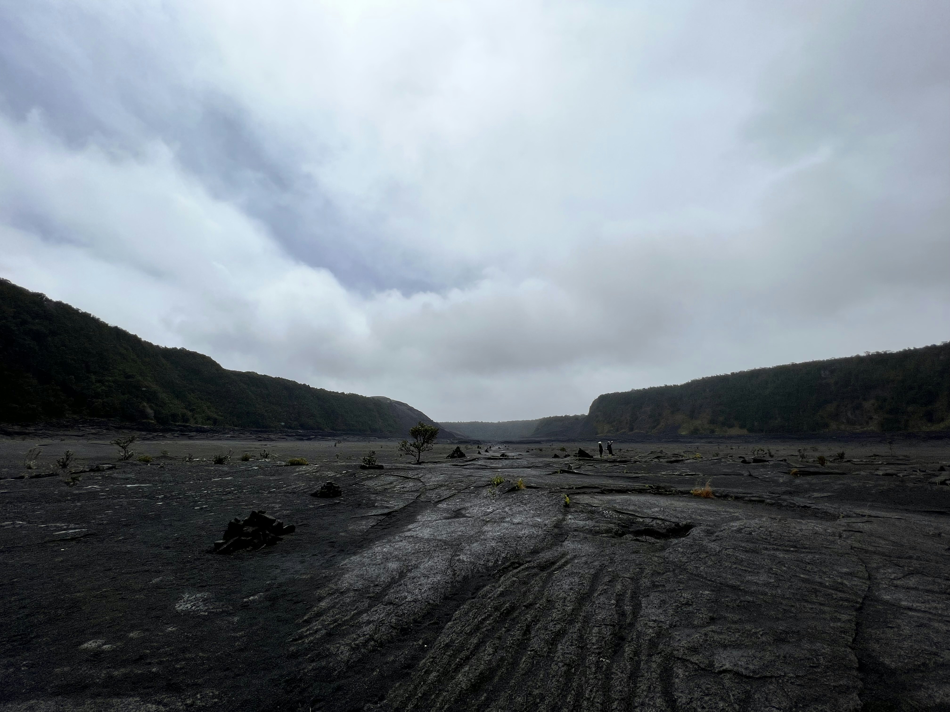 a barren area with a few trees in the distance