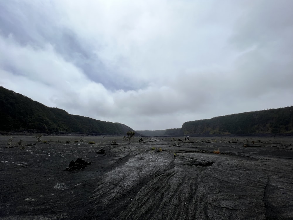 a barren area with a few trees in the distance