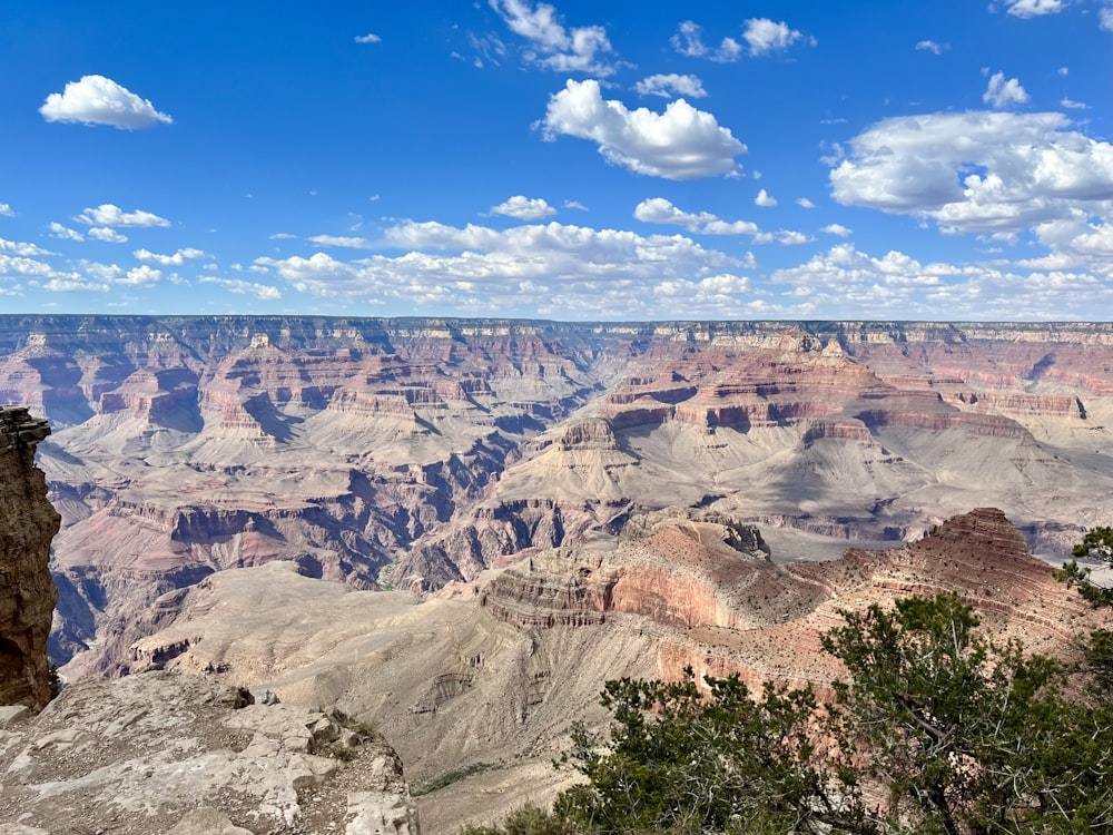 a scenic view of the grand canyon of the grand canyon