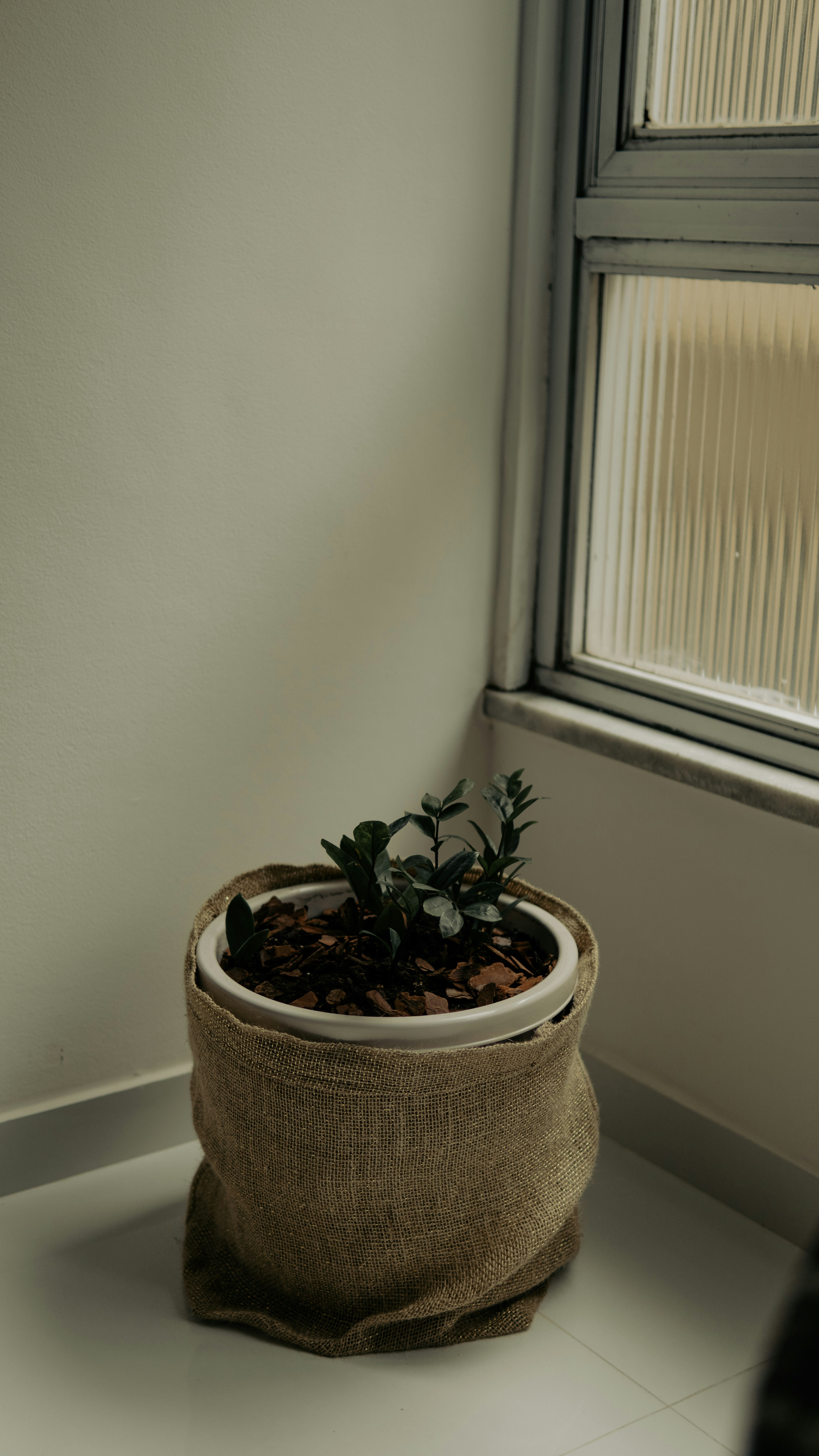 Photo by odavidsantos