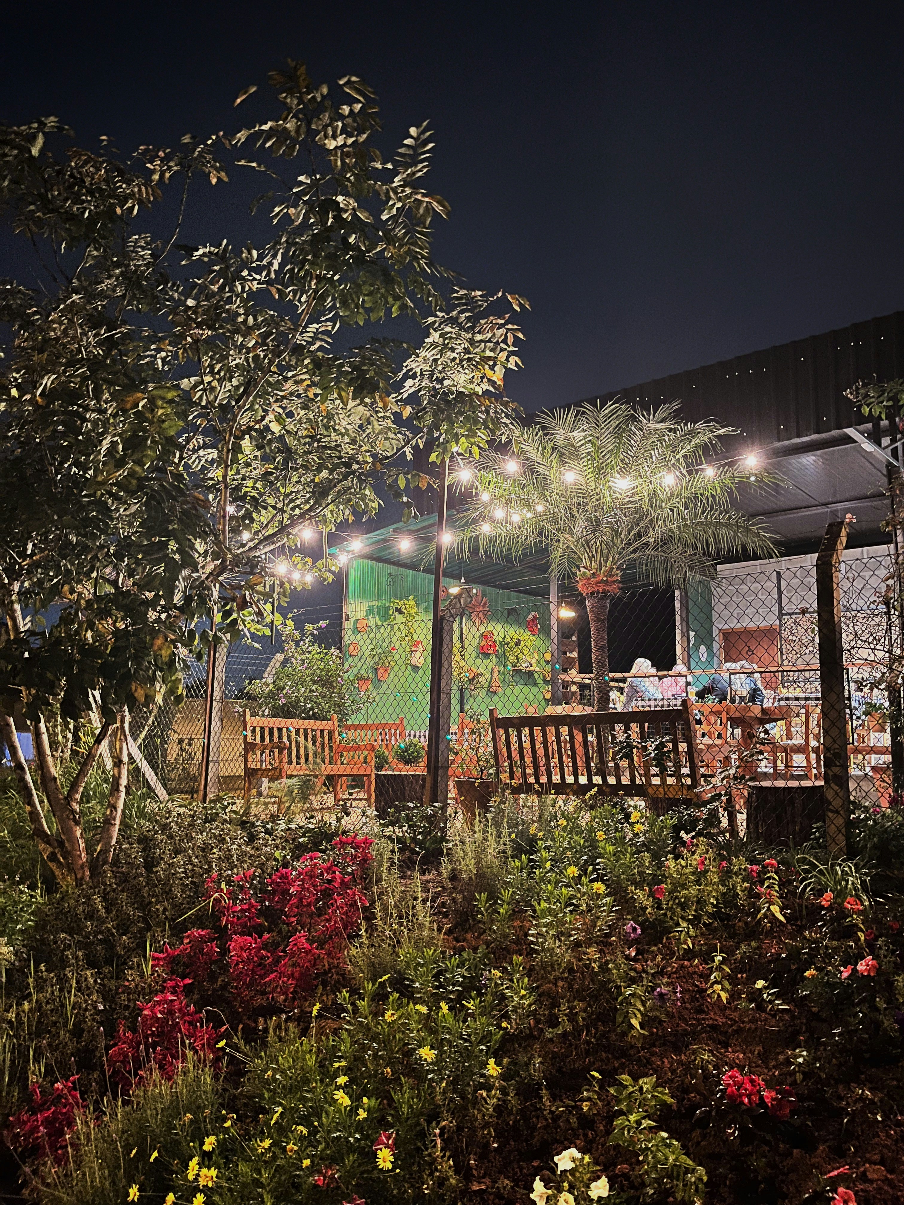 Paket Perawatan Taman