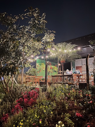 An outdoor area with a beautifully maintained garden and seating.