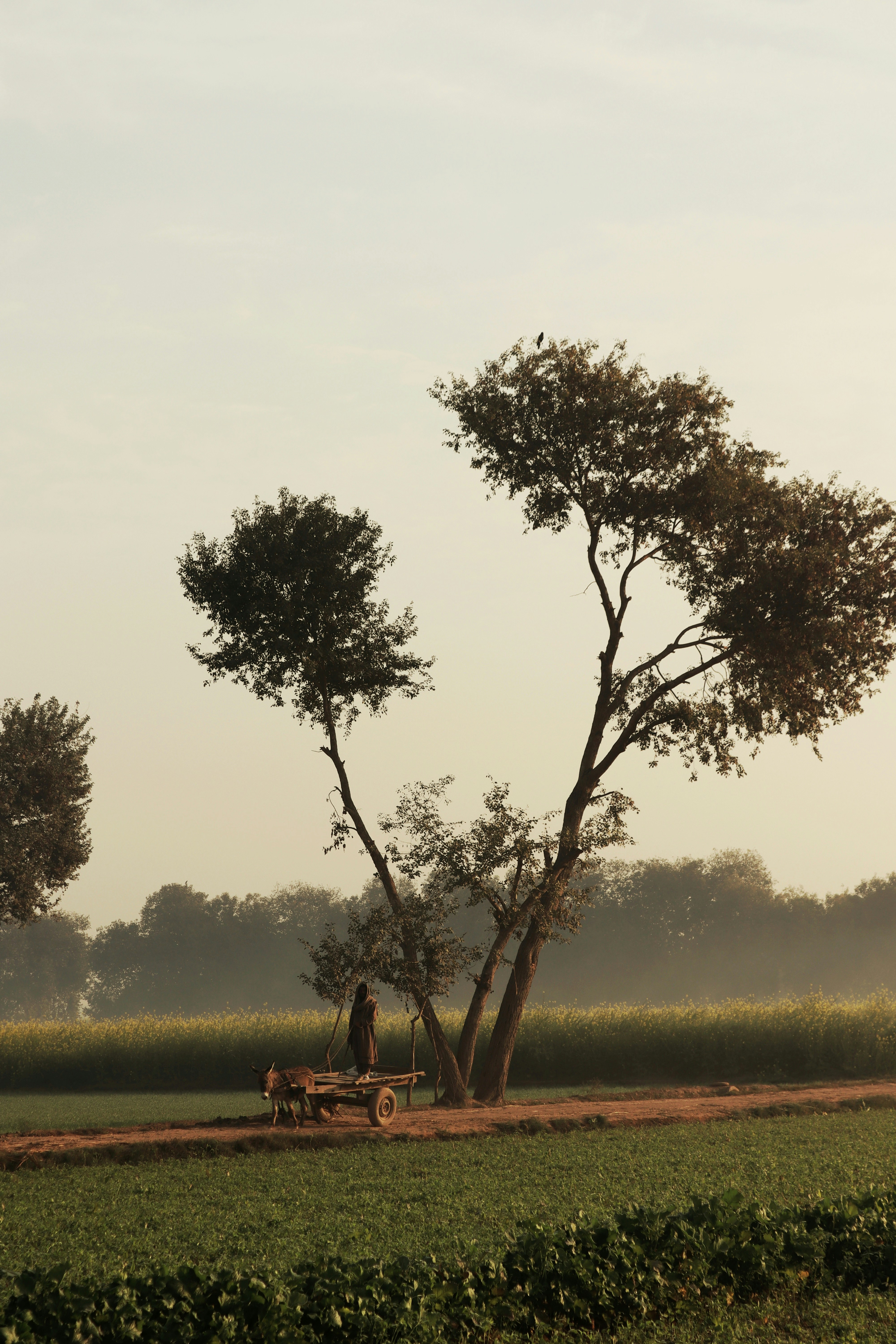 Photo by drphotographer152