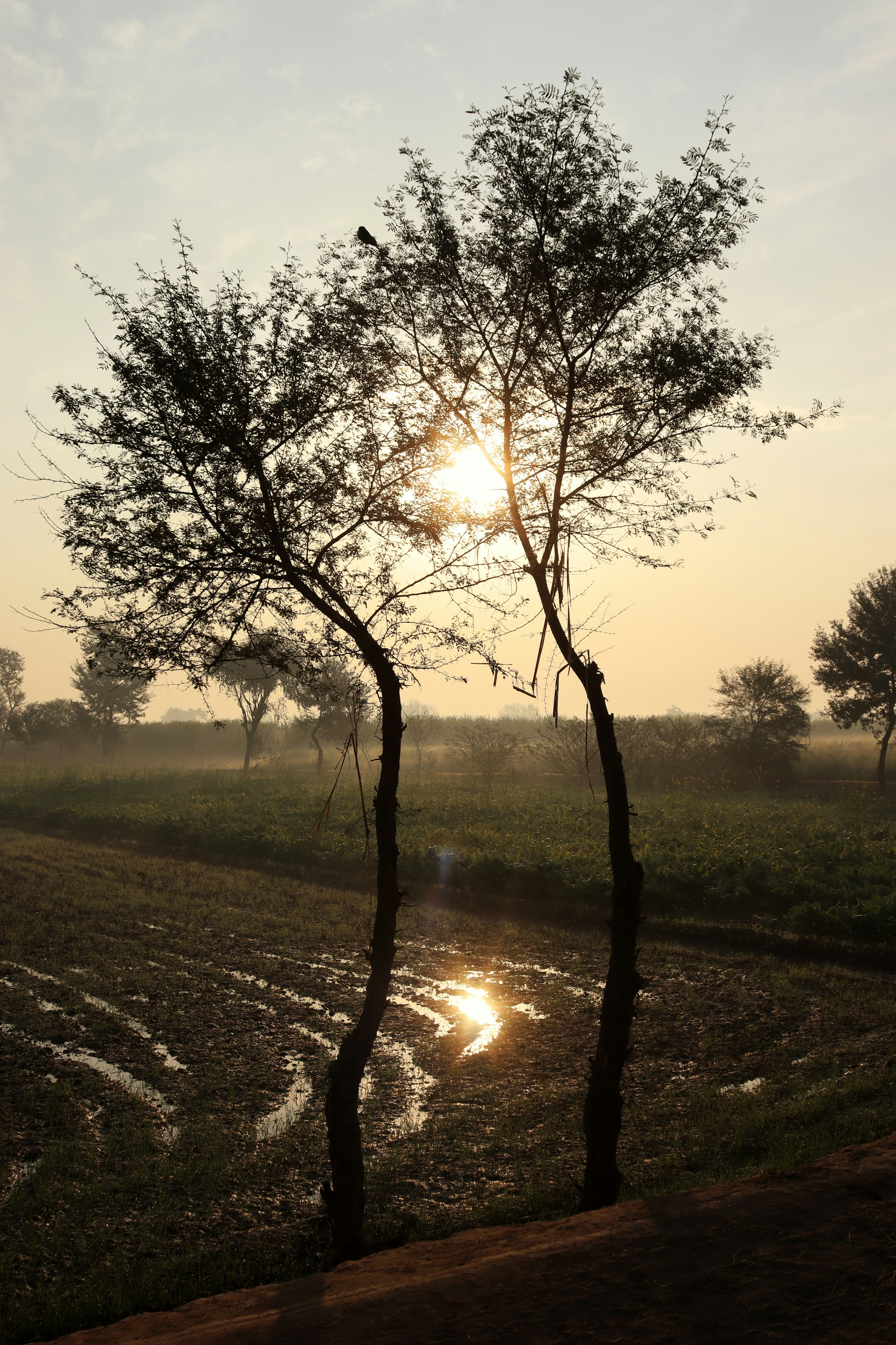 Photo by drphotographer152