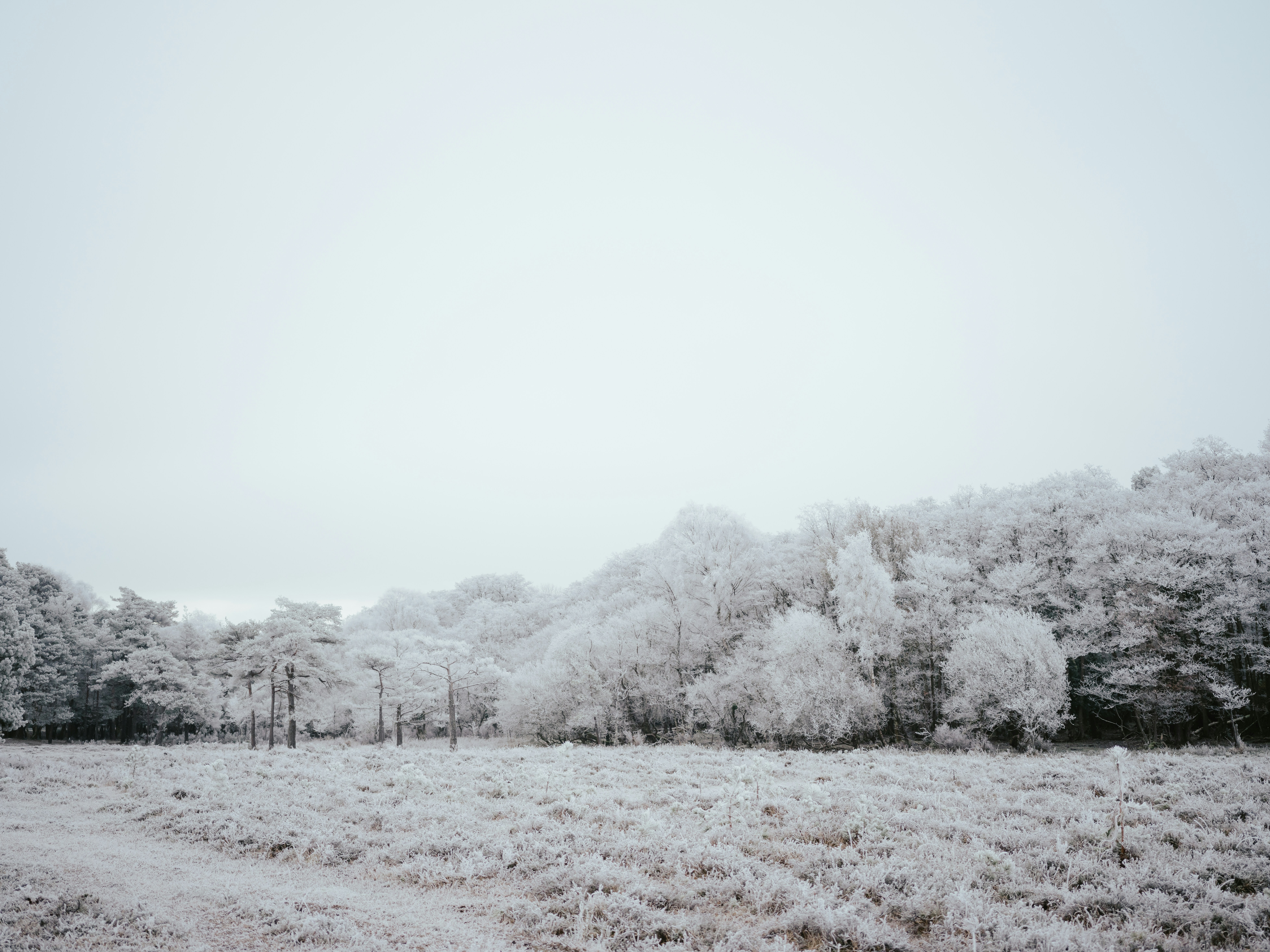 Photo by anniespratt