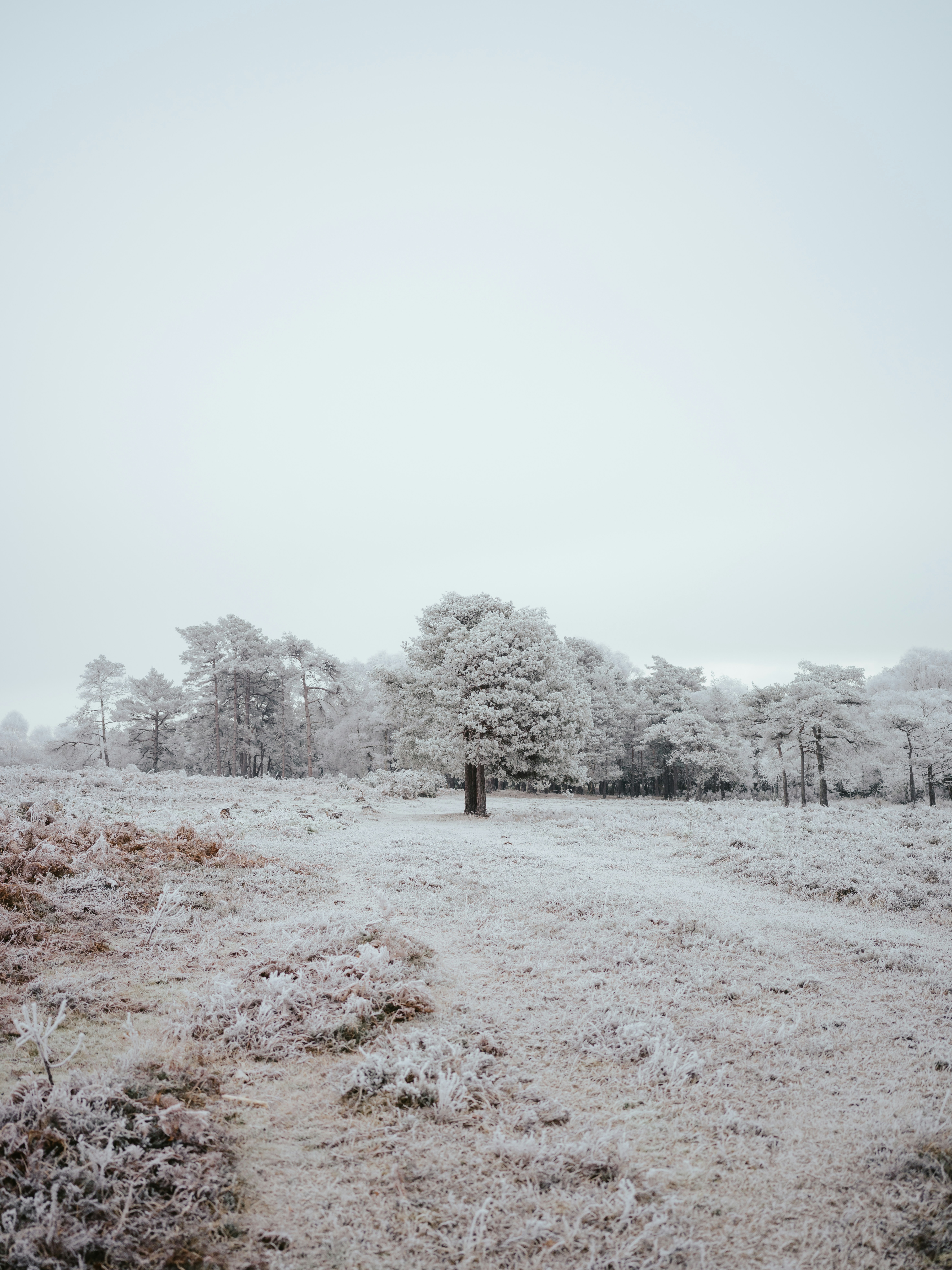 Photo by anniespratt