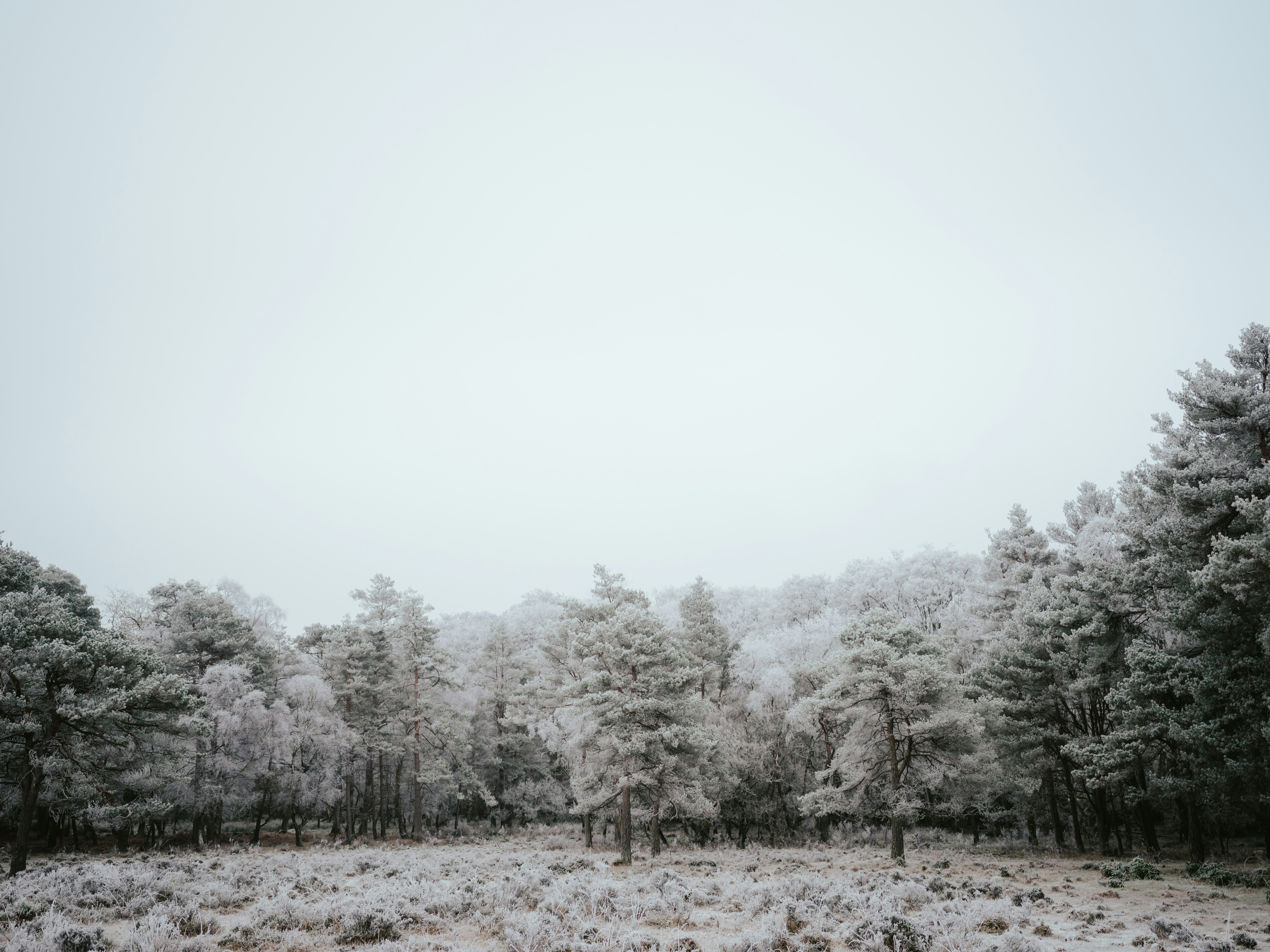 Photo by anniespratt