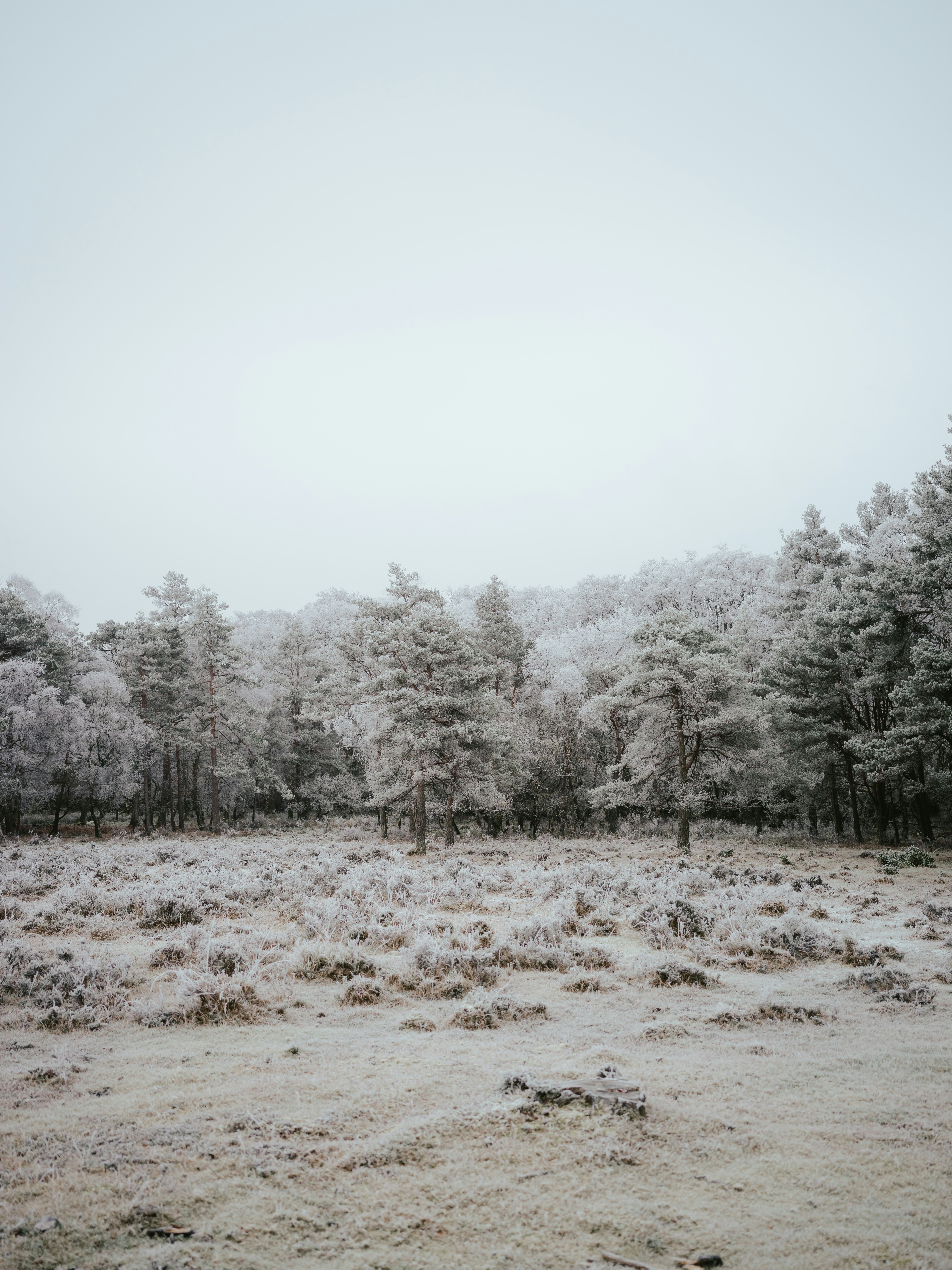 Photo by anniespratt