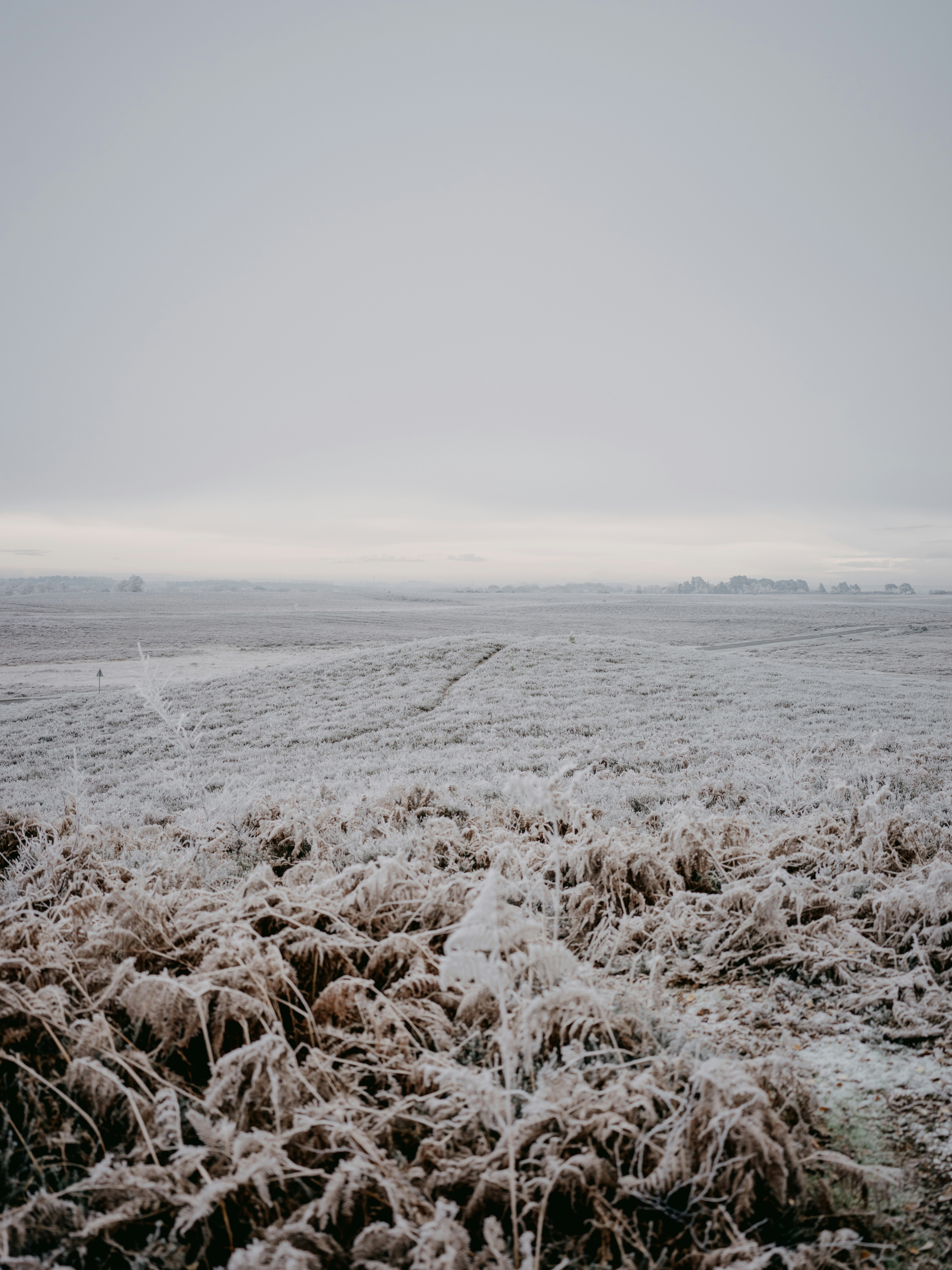 Photo by anniespratt