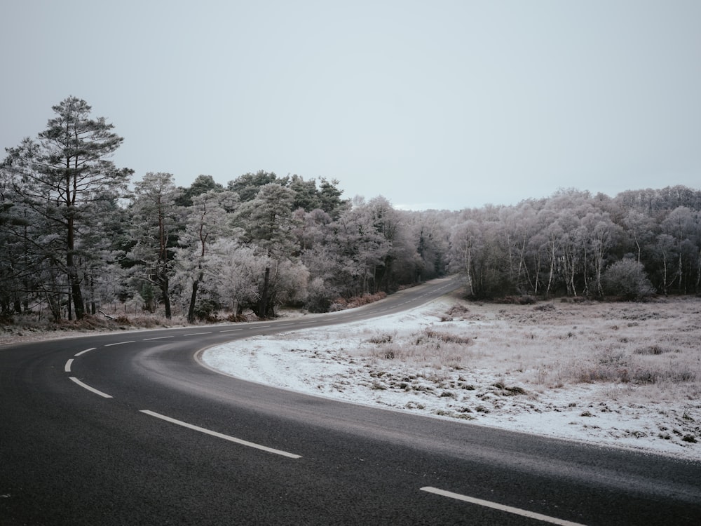 a curved road in the middle of a snowy forest