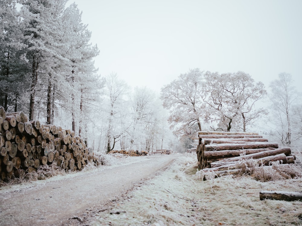 a snow covered road with a pile of logs on the side