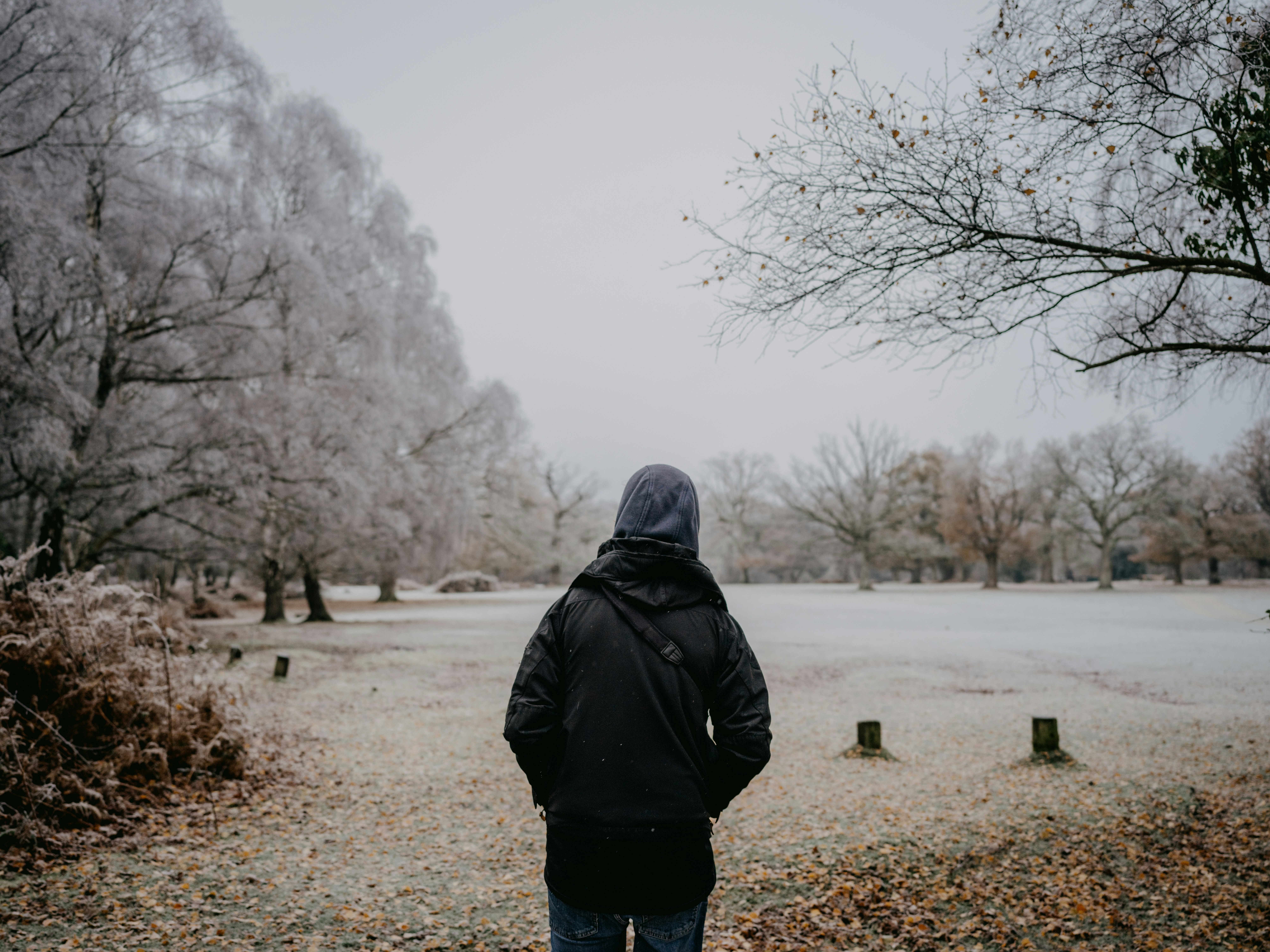 Photo by anniespratt