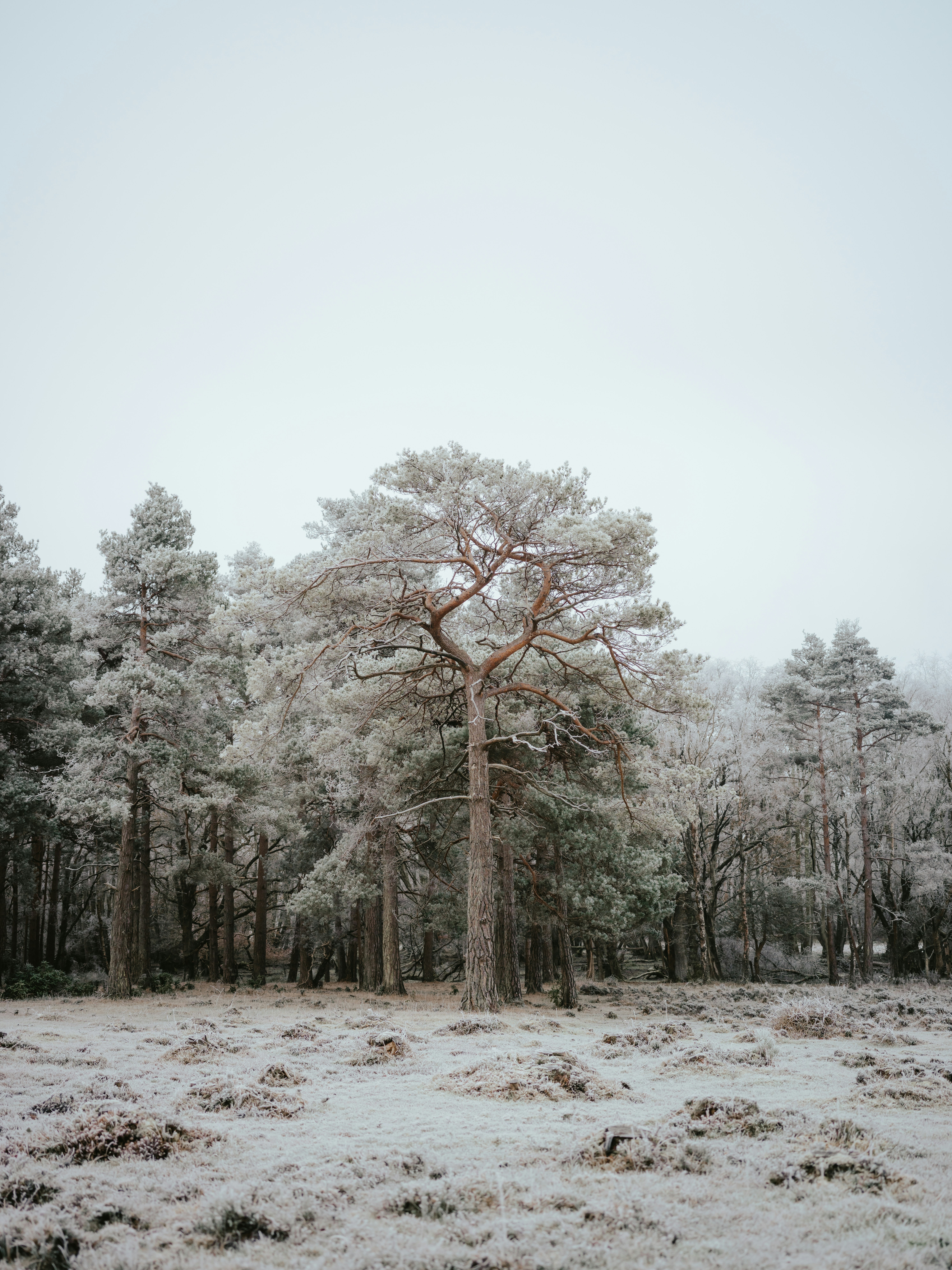 Photo by anniespratt