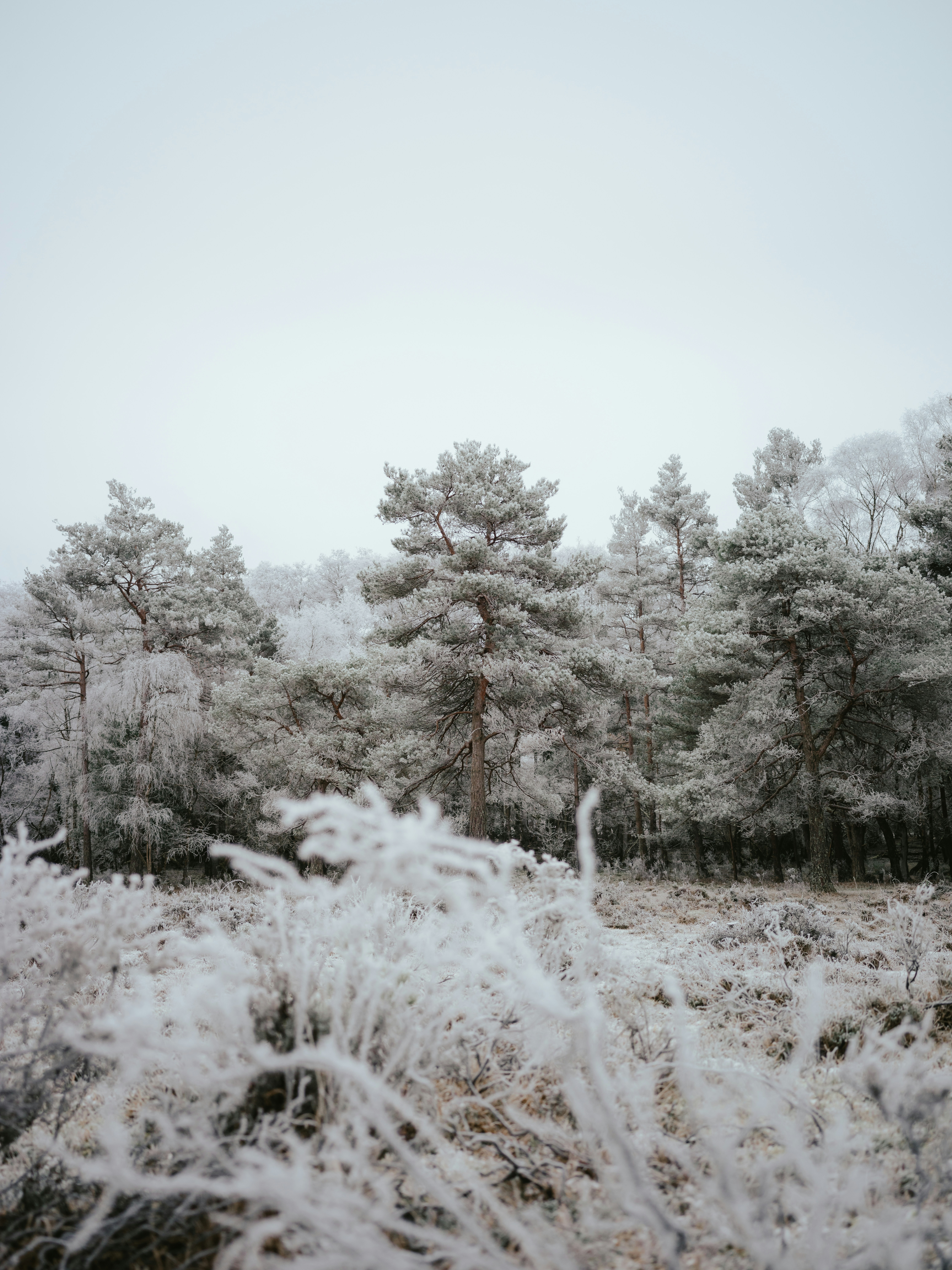 Photo by anniespratt