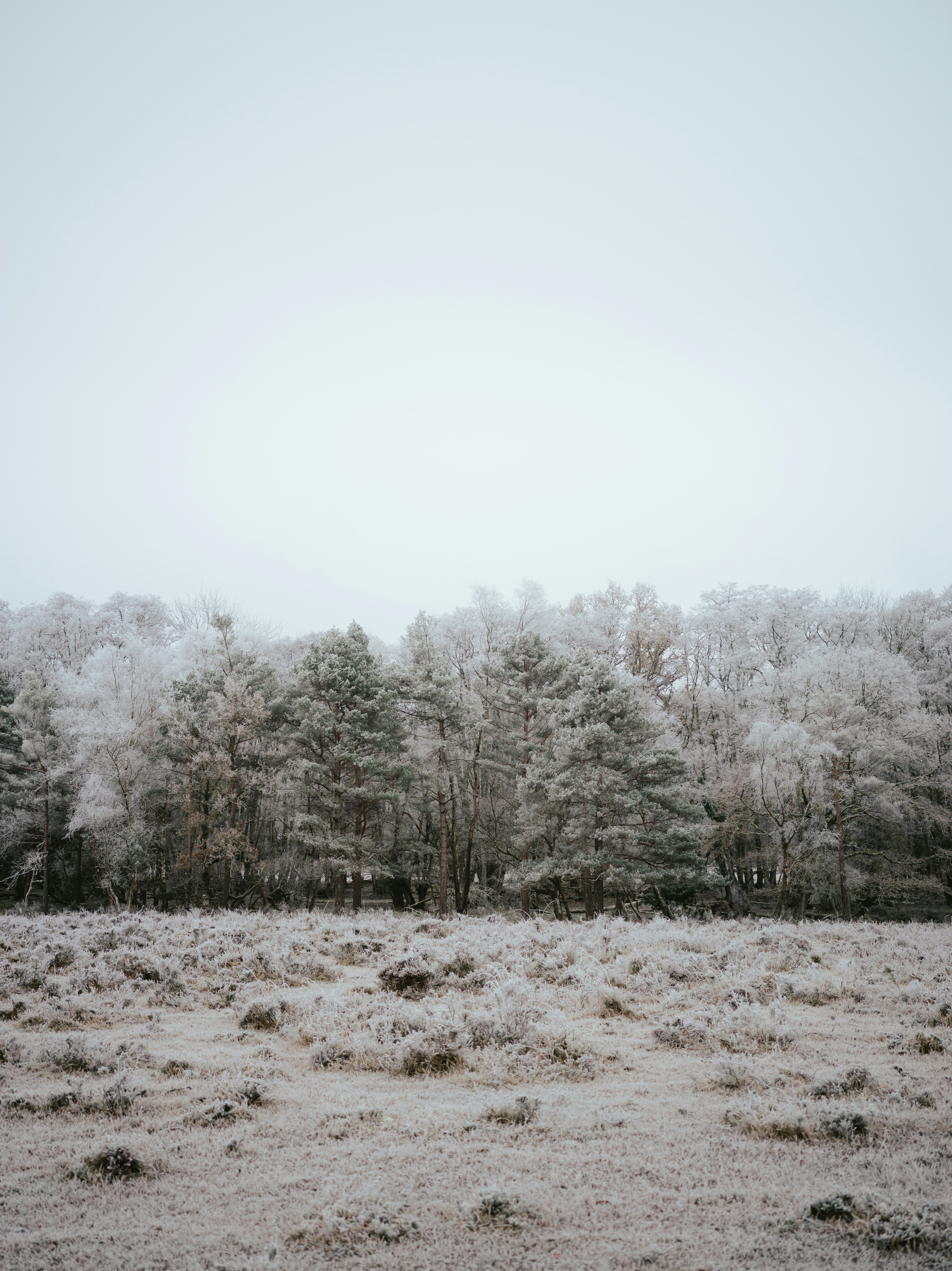 Photo by anniespratt