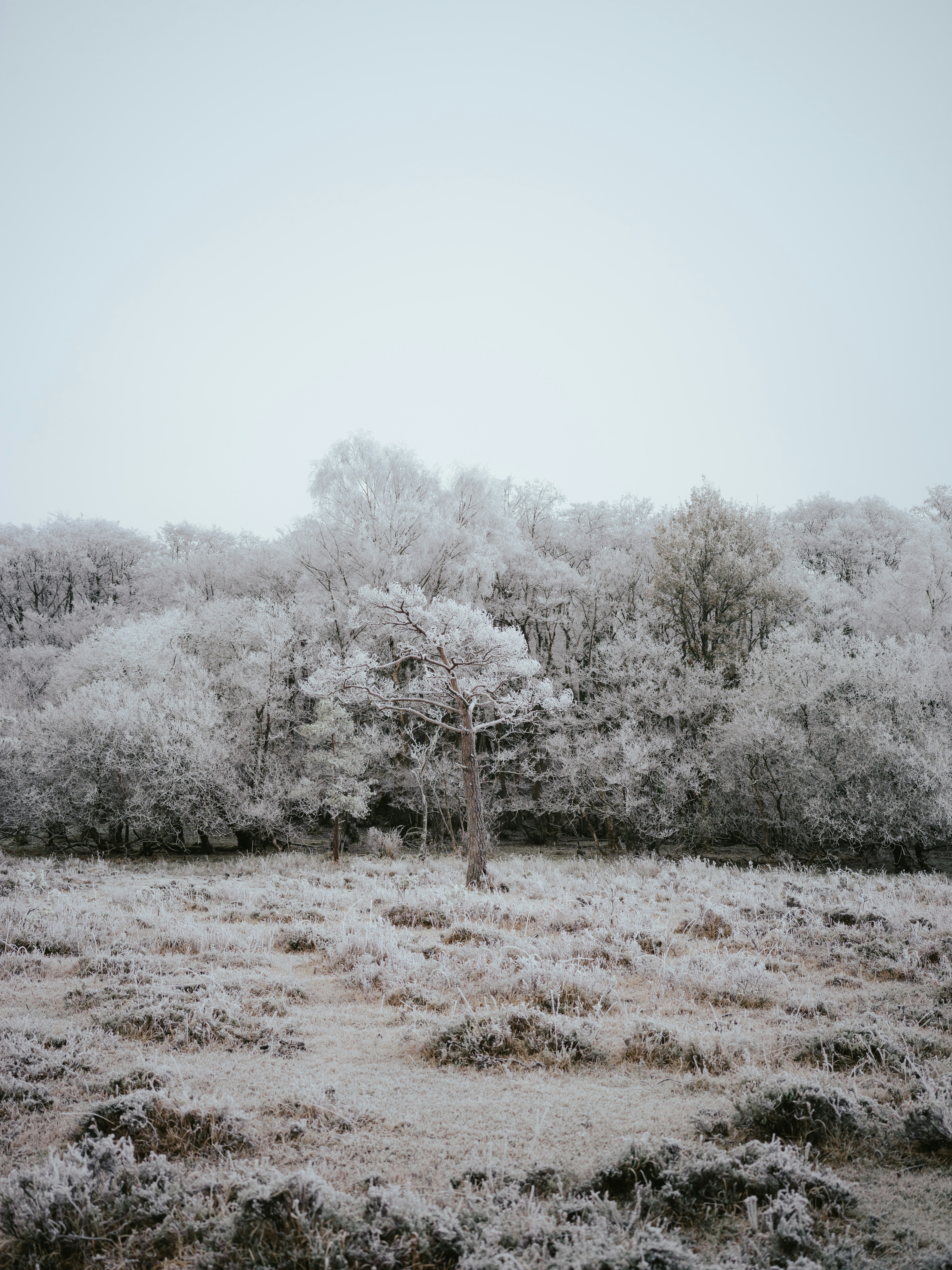 Photo by anniespratt