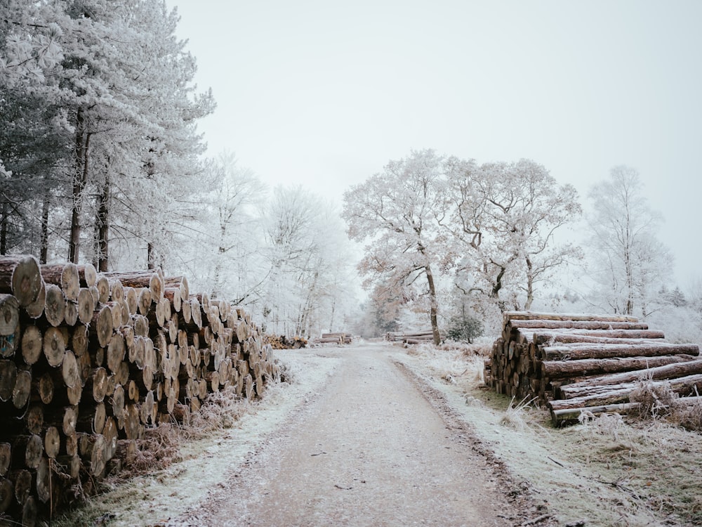 a road that has a bunch of logs on it