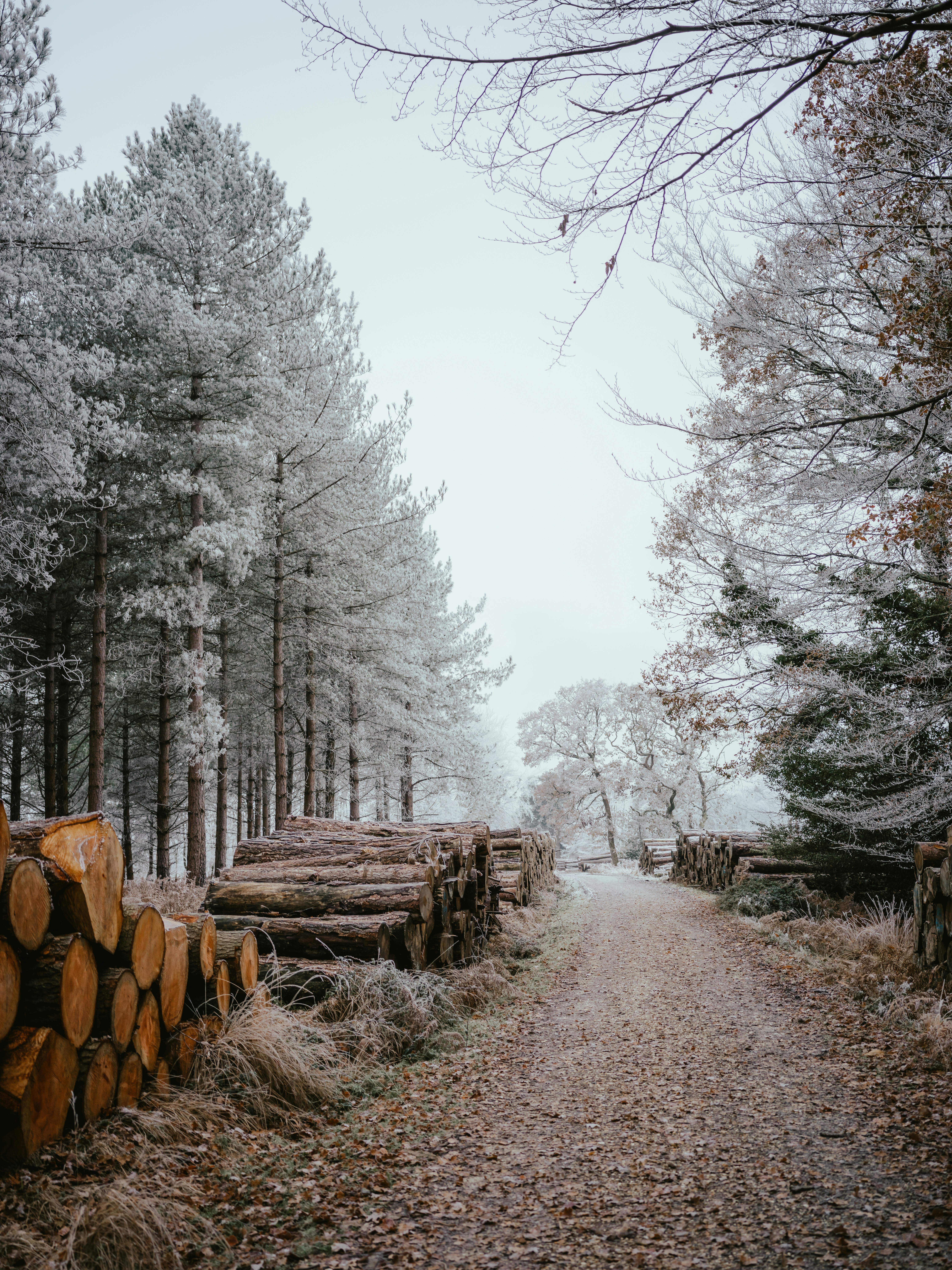 photo-1670993746497-fbe99040c4db?ixid=M3