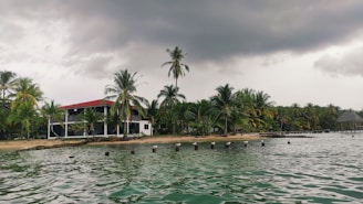 A tropical beach scene with a building featuring a red roof, surrounded by lush palm trees. The sky is overcast with dark gray clouds, and the foreground features calm water with a series of wooden posts emerging from it.