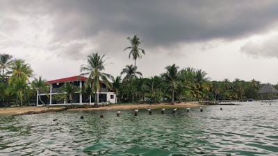 A tropical beach scene with a building featuring a red roof, surrounded by lush palm trees. The sky is overcast with dark gray clouds, and the foreground features calm water with a series of wooden posts emerging from it.