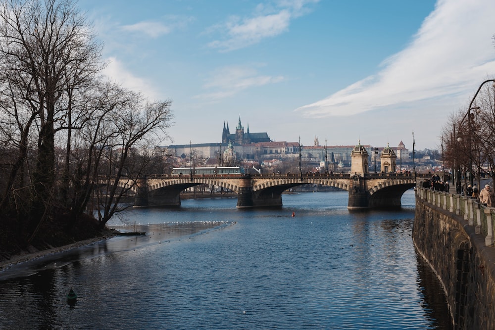 a bridge over a river with a castle in the background