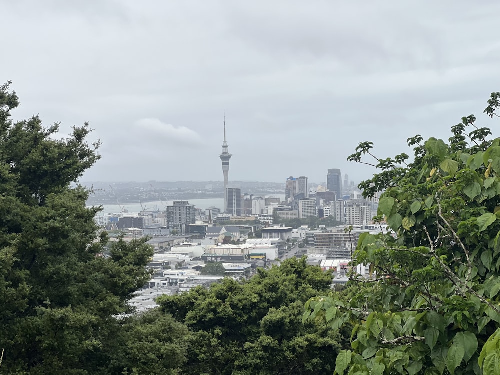 a view of a city with a tower in the distance