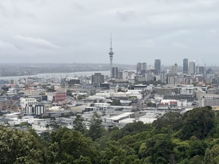 a view of a city from a hill