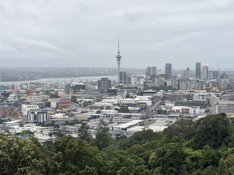 a view of a city from a hill