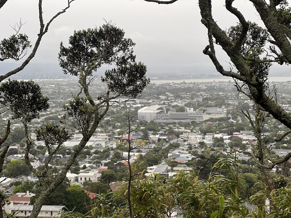 a view of a city from the top of a hill