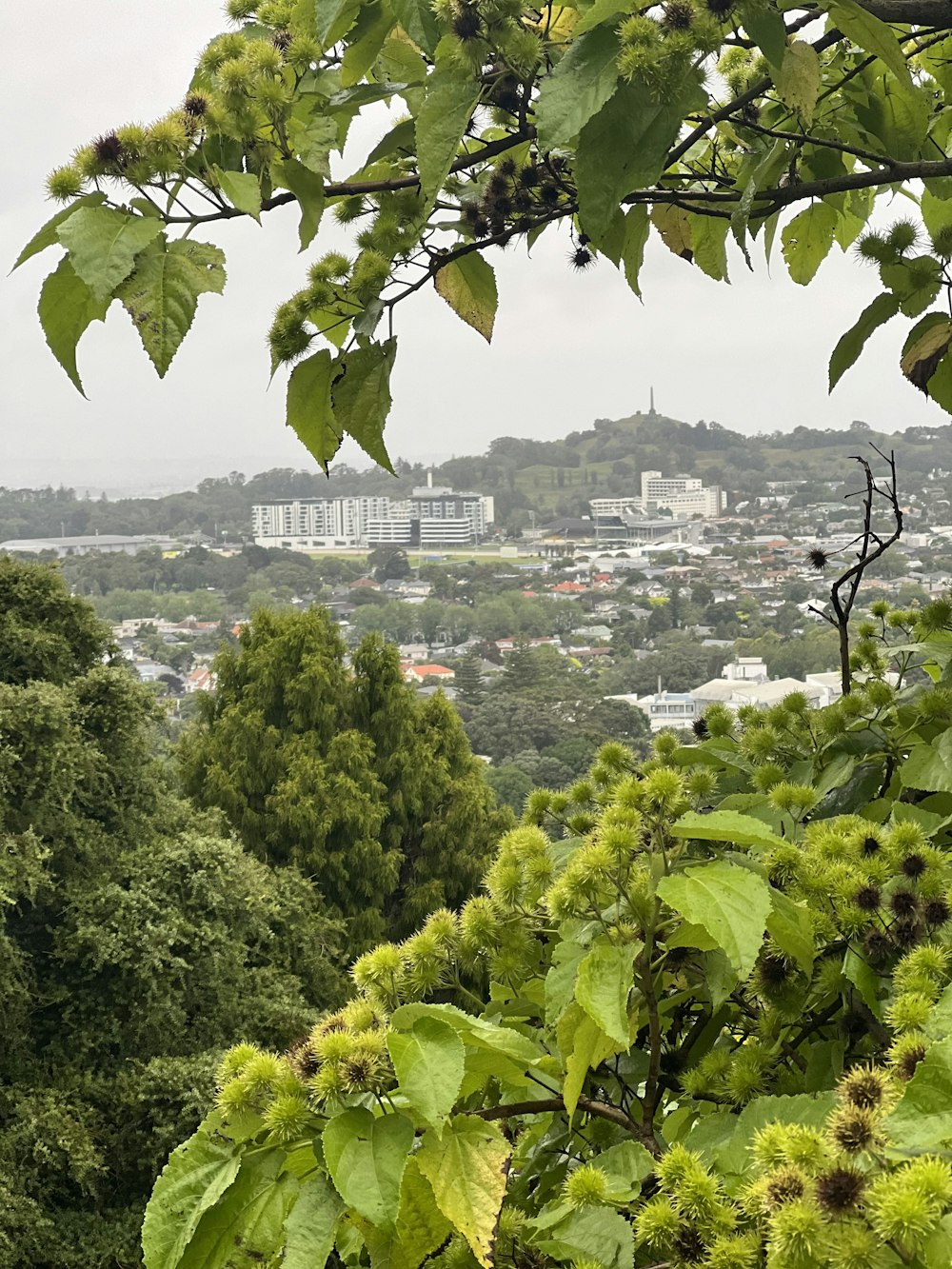 a view of a city from the top of a hill